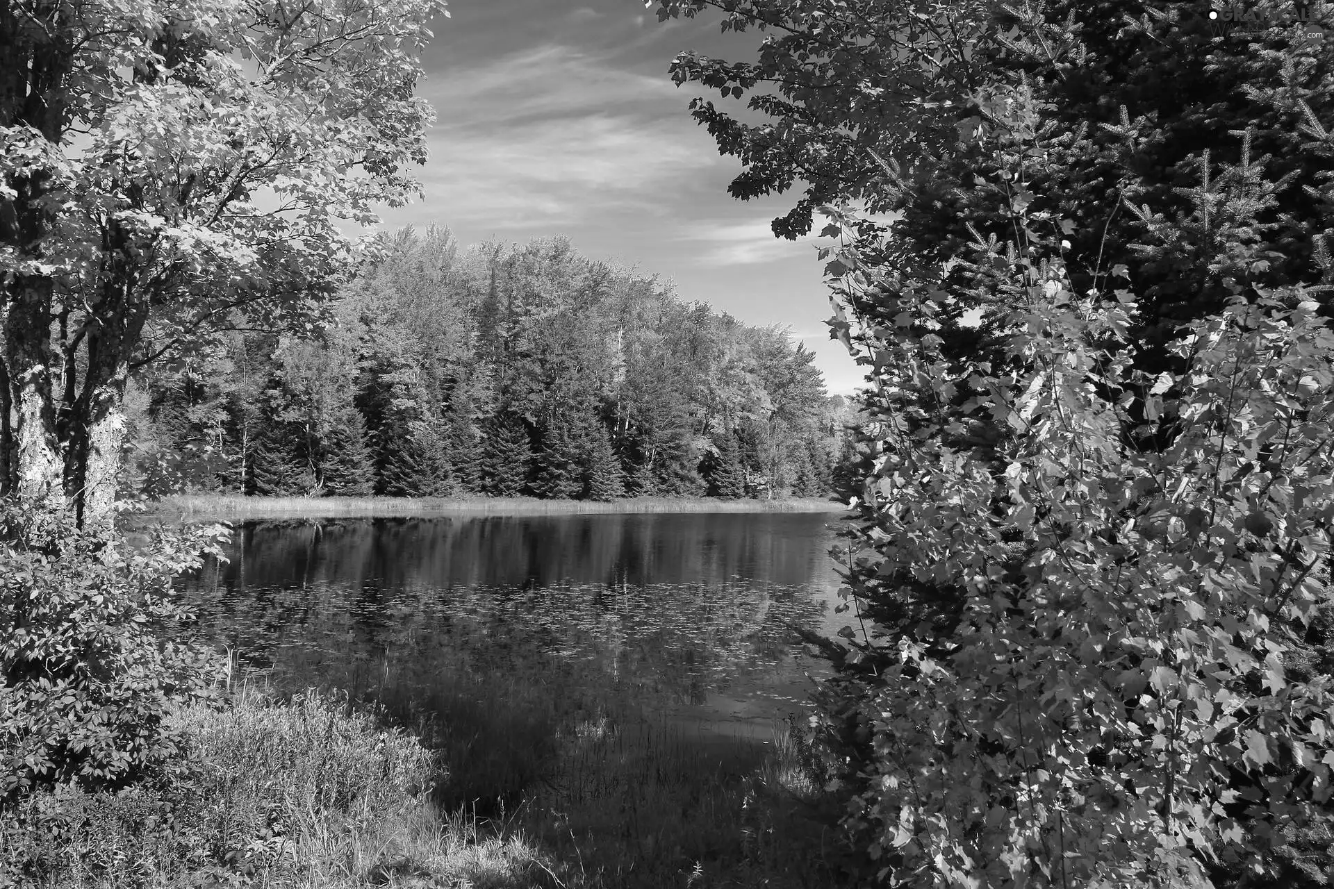 viewes, Leaf, autumn, grass, Sky, trees, lake, reflection