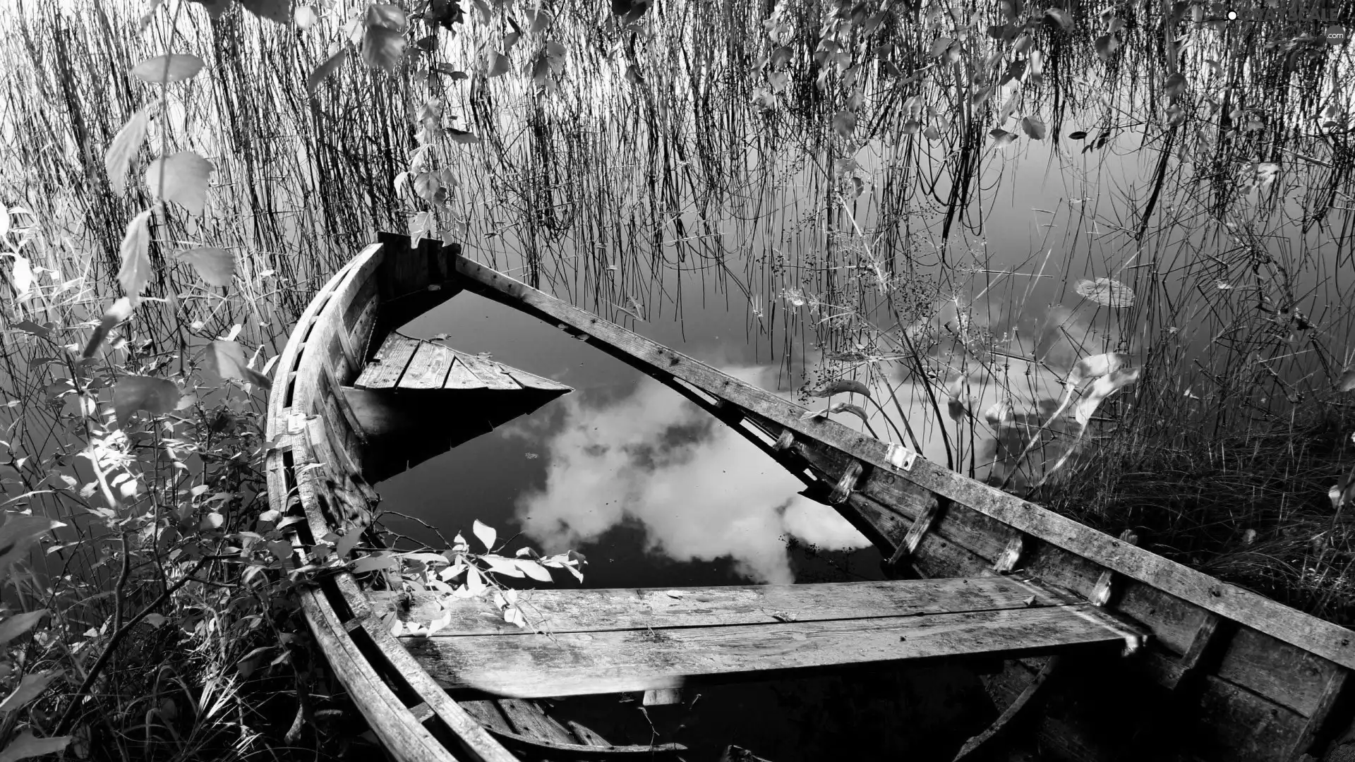 reflection, lake, Boat