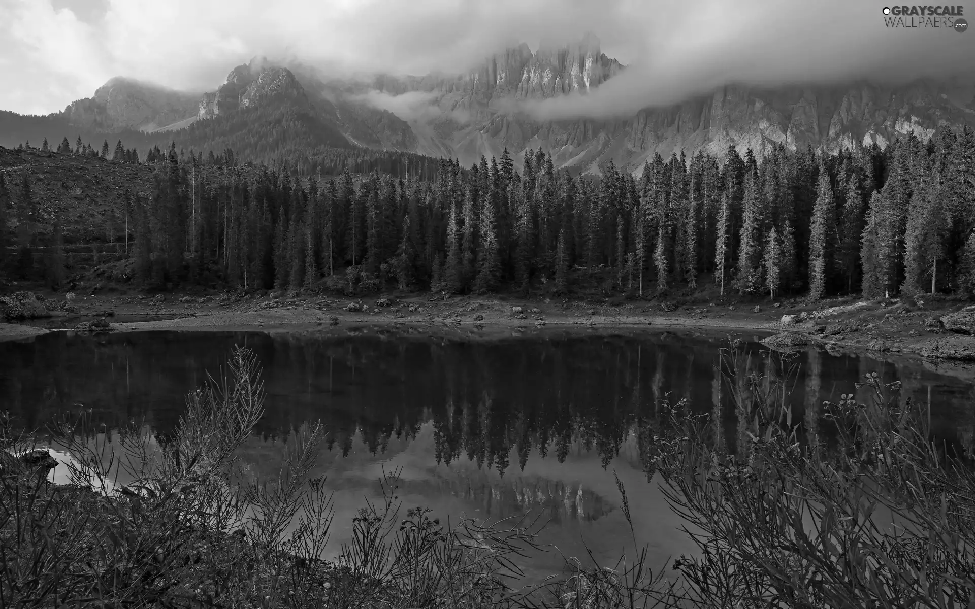 reflection, trees, Flowers, Fog, Mountains, forest, viewes, Stones, clouds, lake