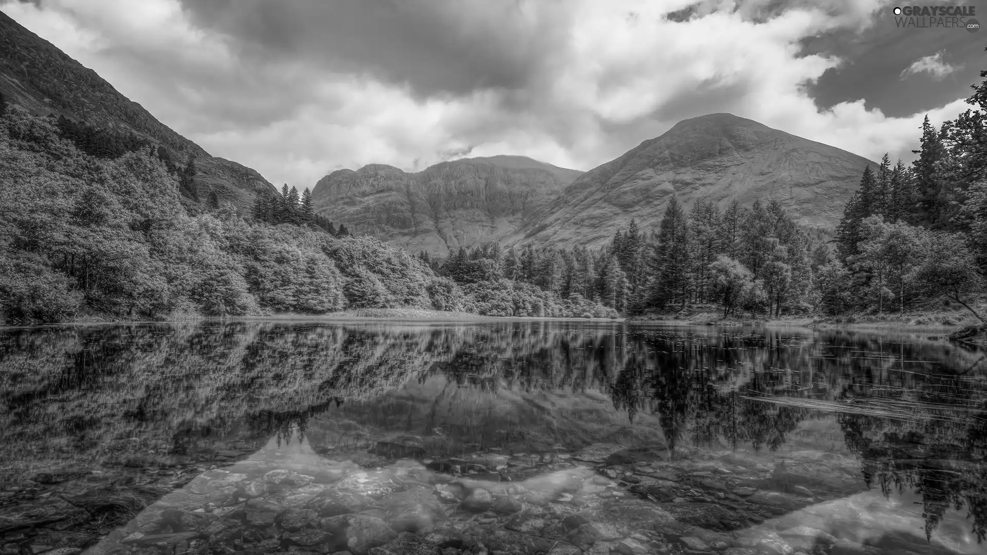trees, lake, clouds, green ones, Mountains, viewes, reflection
