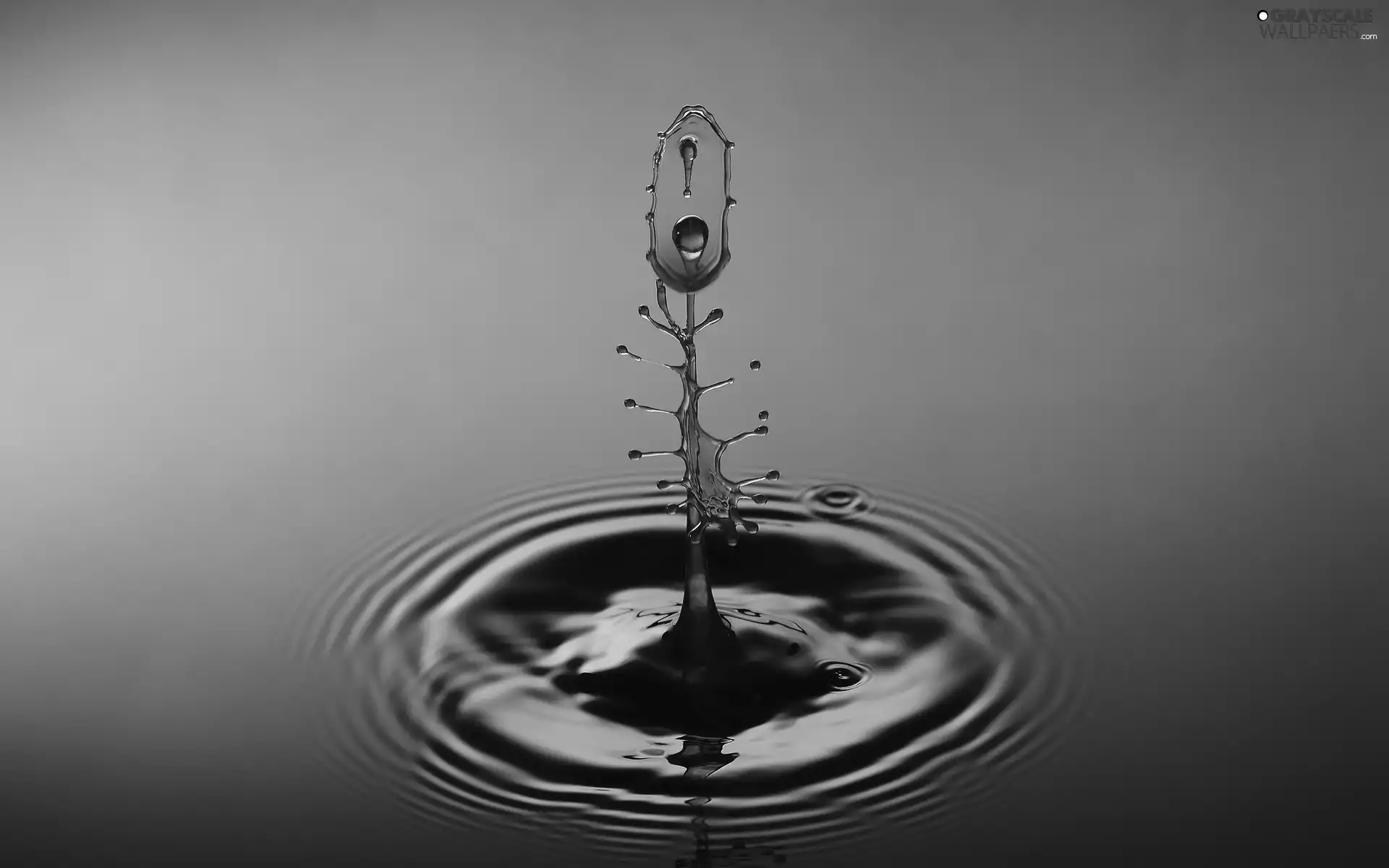 drop, collision, reflection, water