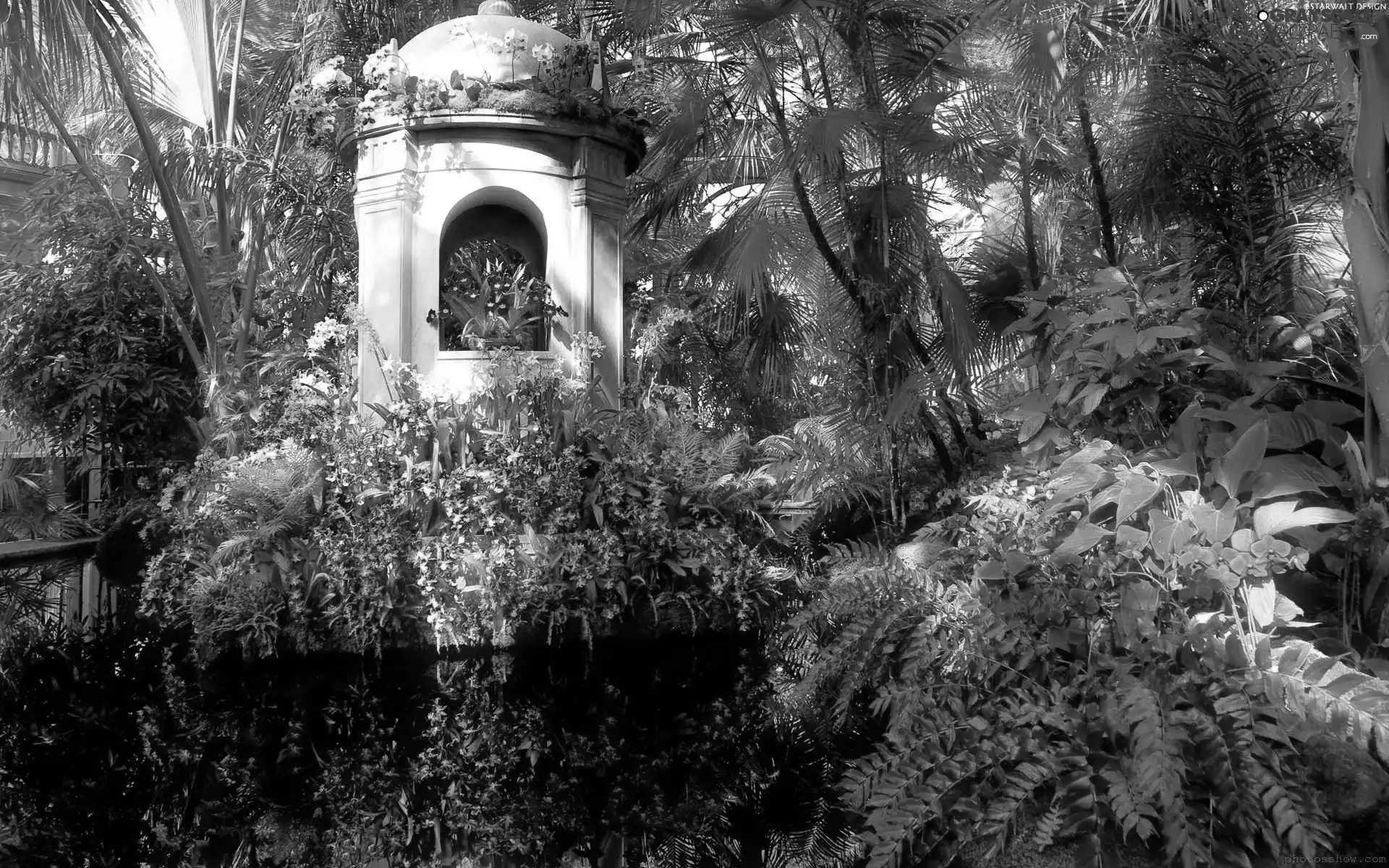 exotic, pavilion, reflection, Garden