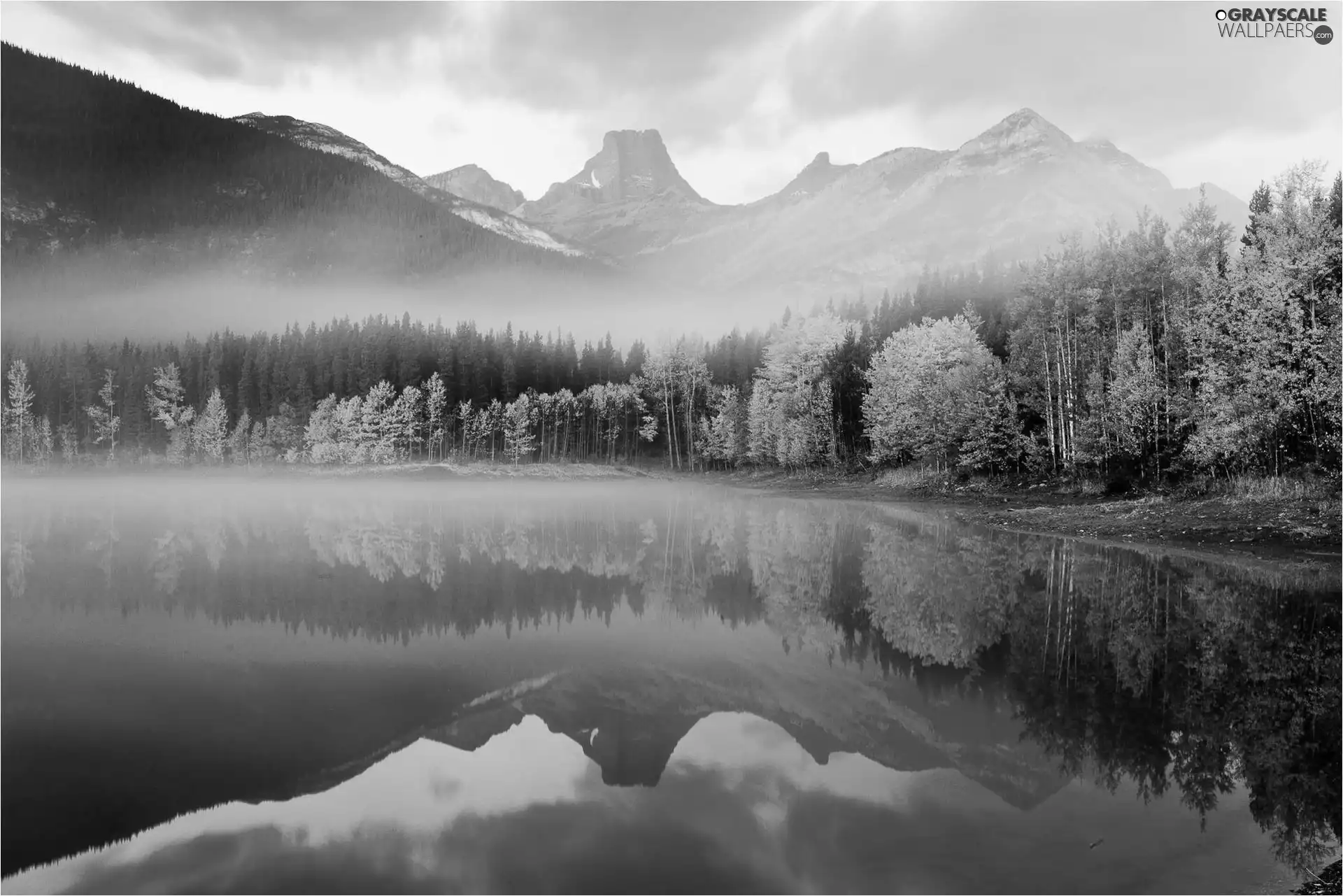 reflection, Fog, lake, forest, Mountains