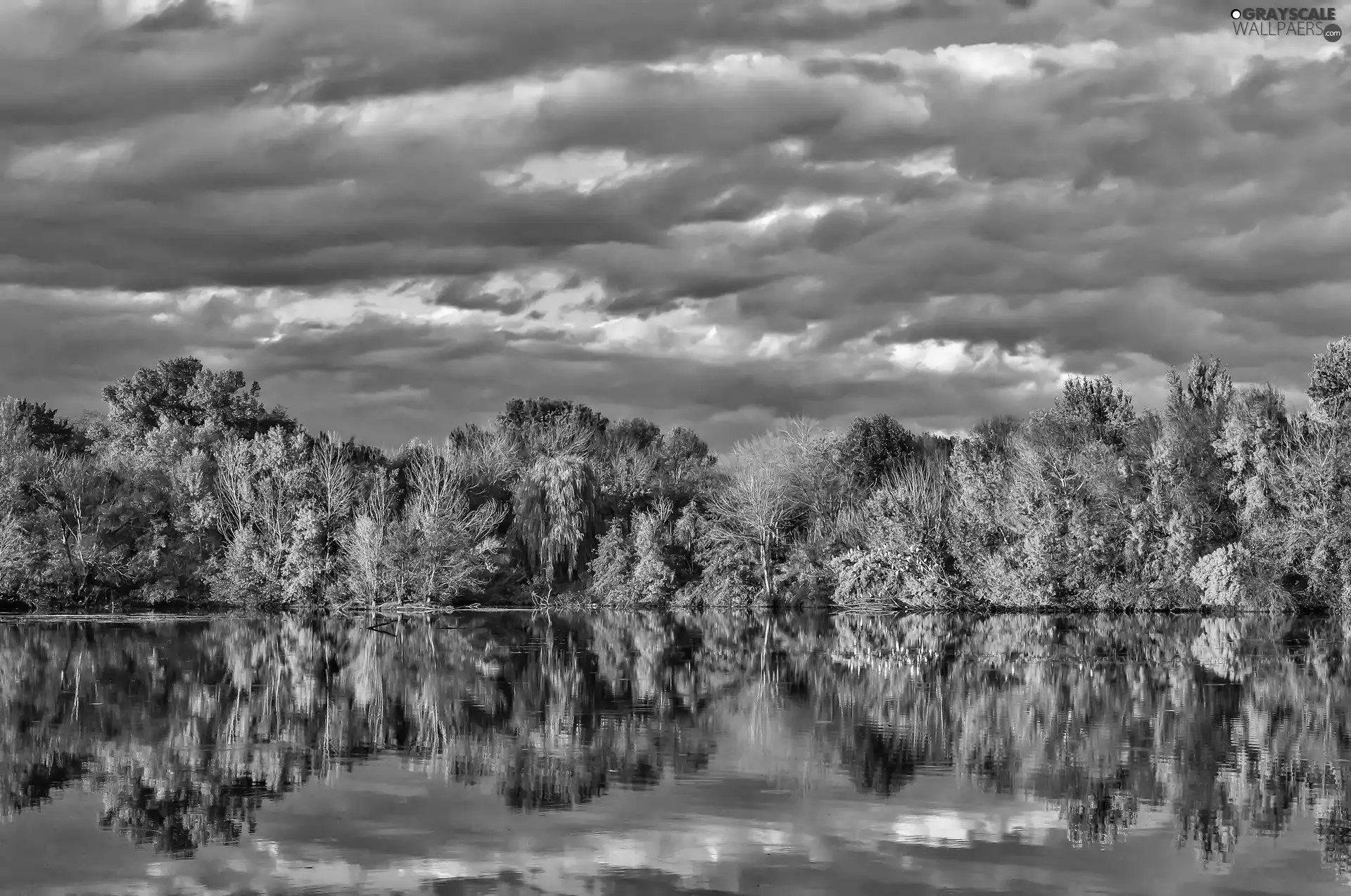 reflection, lake, forest