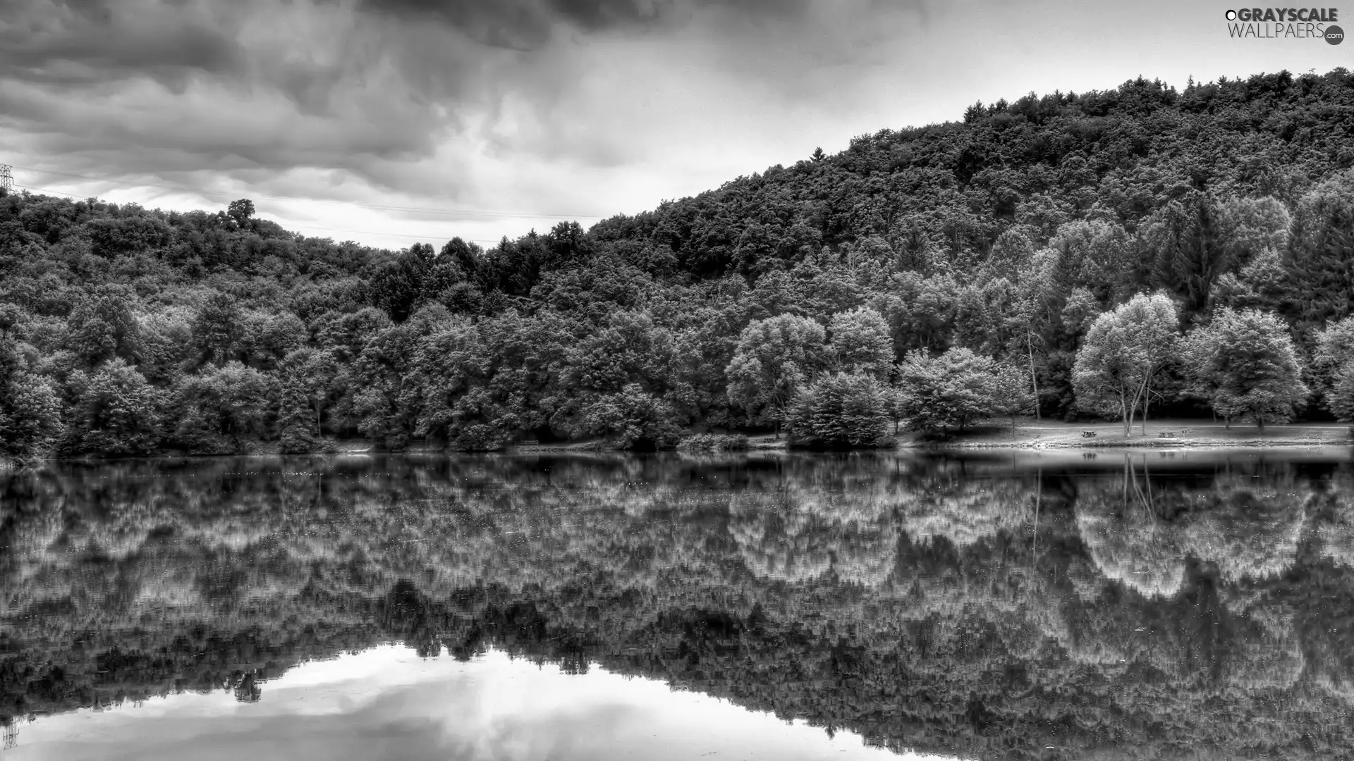 reflection, lake, forest