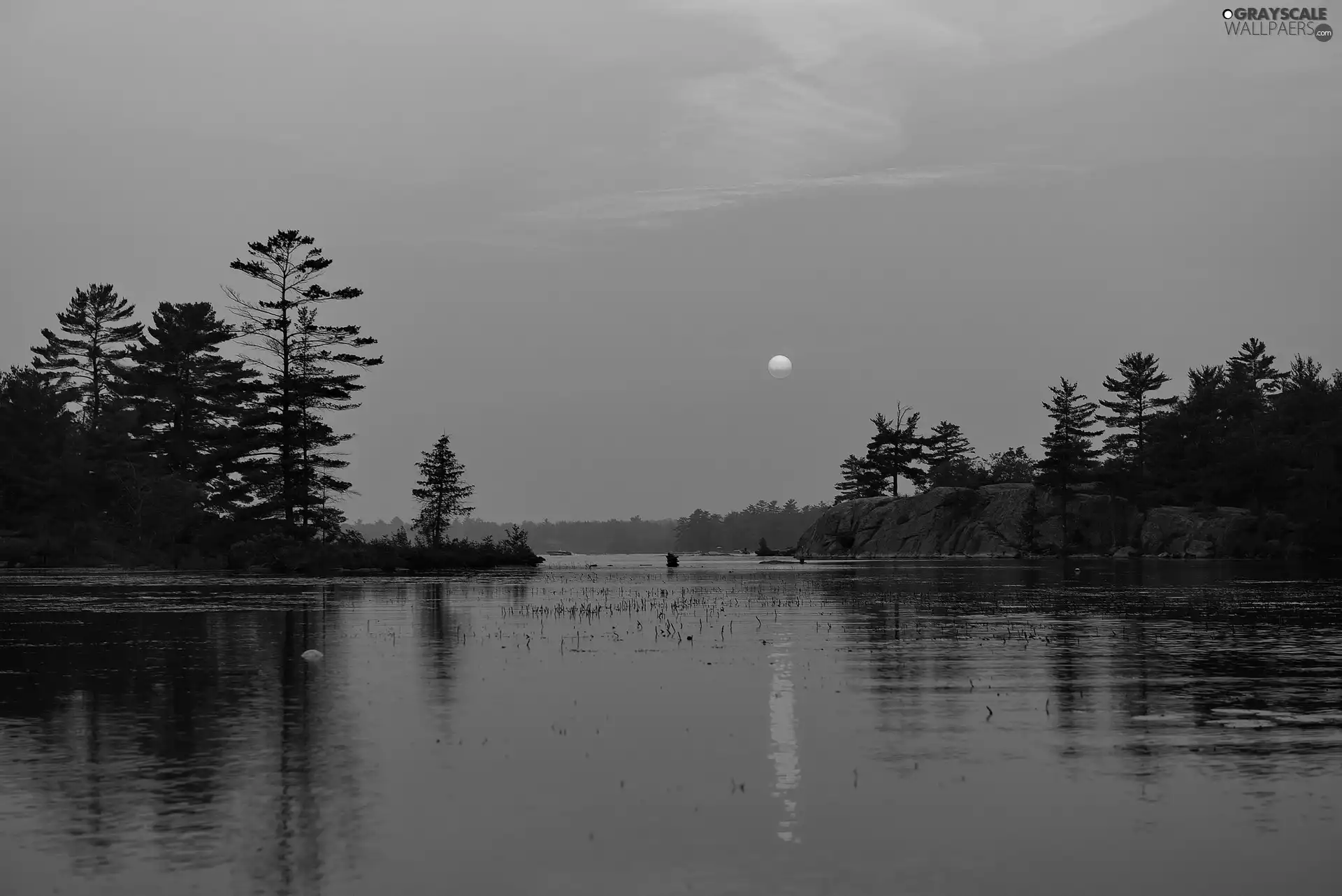 reflection, lake, forest