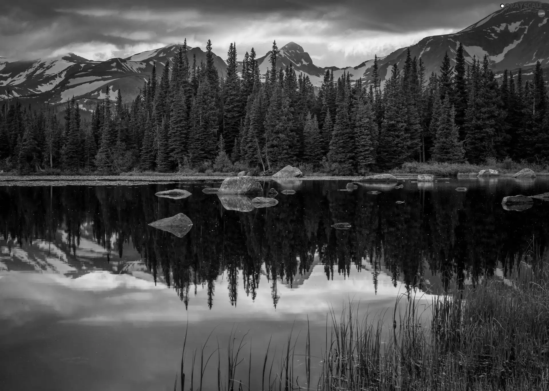 lake, Mountains, reflection, forest