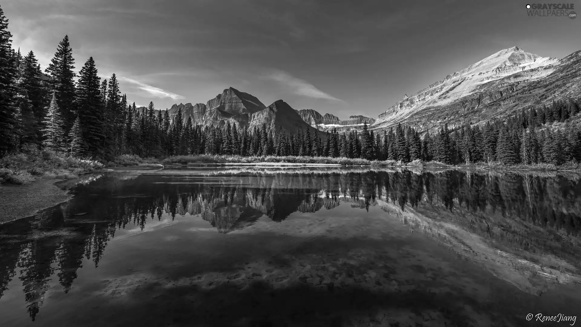 green ones, lake, viewes, forest, Mountains, trees, reflection