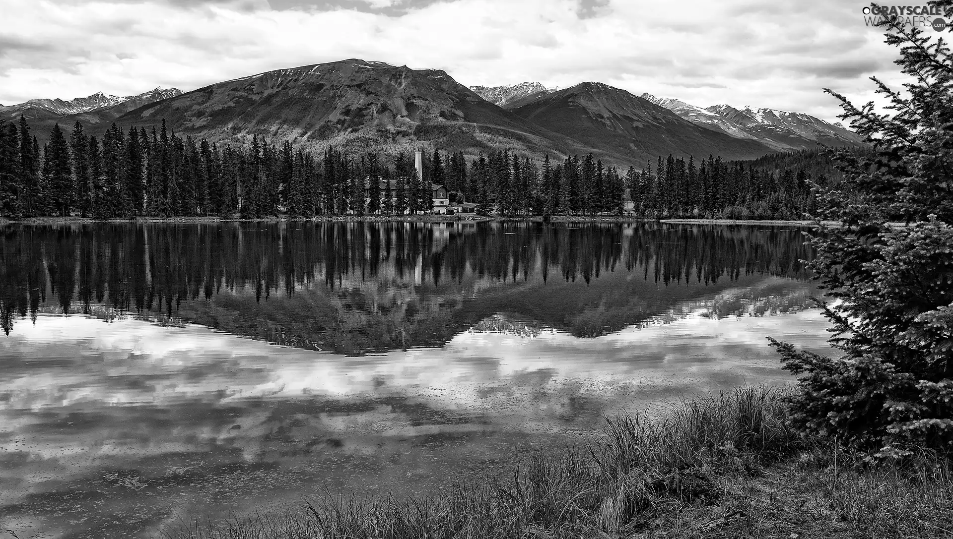 lake, Spruces, reflection, Mountains