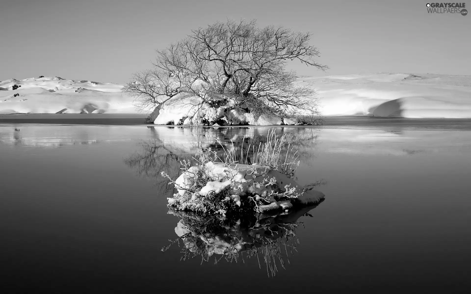lake, trees, reflection, snow