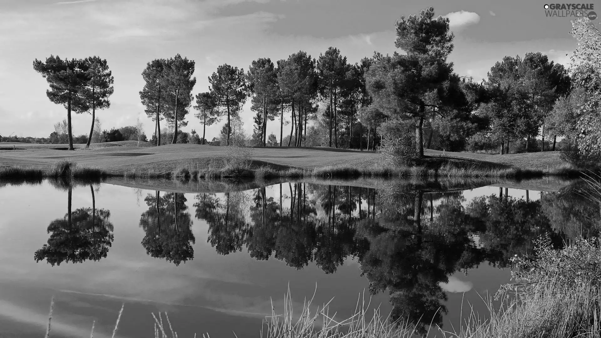 lake, viewes, reflection, trees