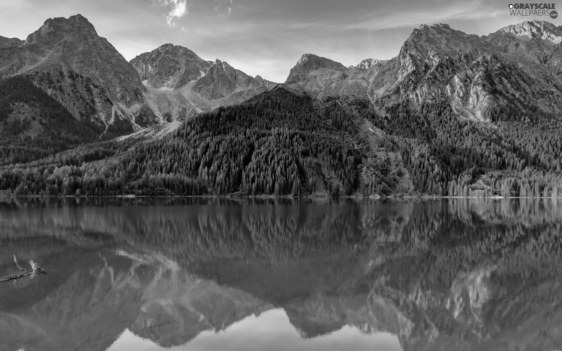 woods, Mountains, viewes, reflection, trees, lake
