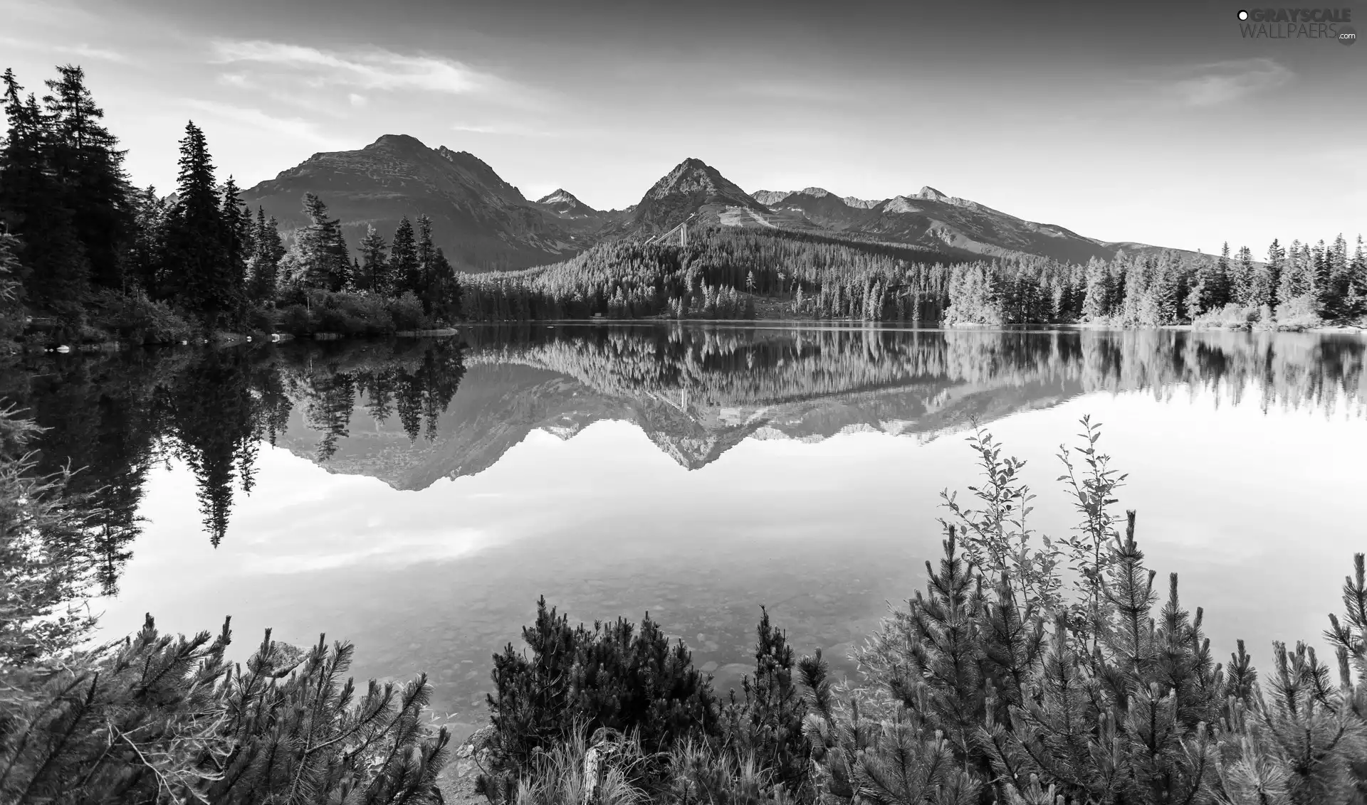 lake, woods, reflection, Mountains