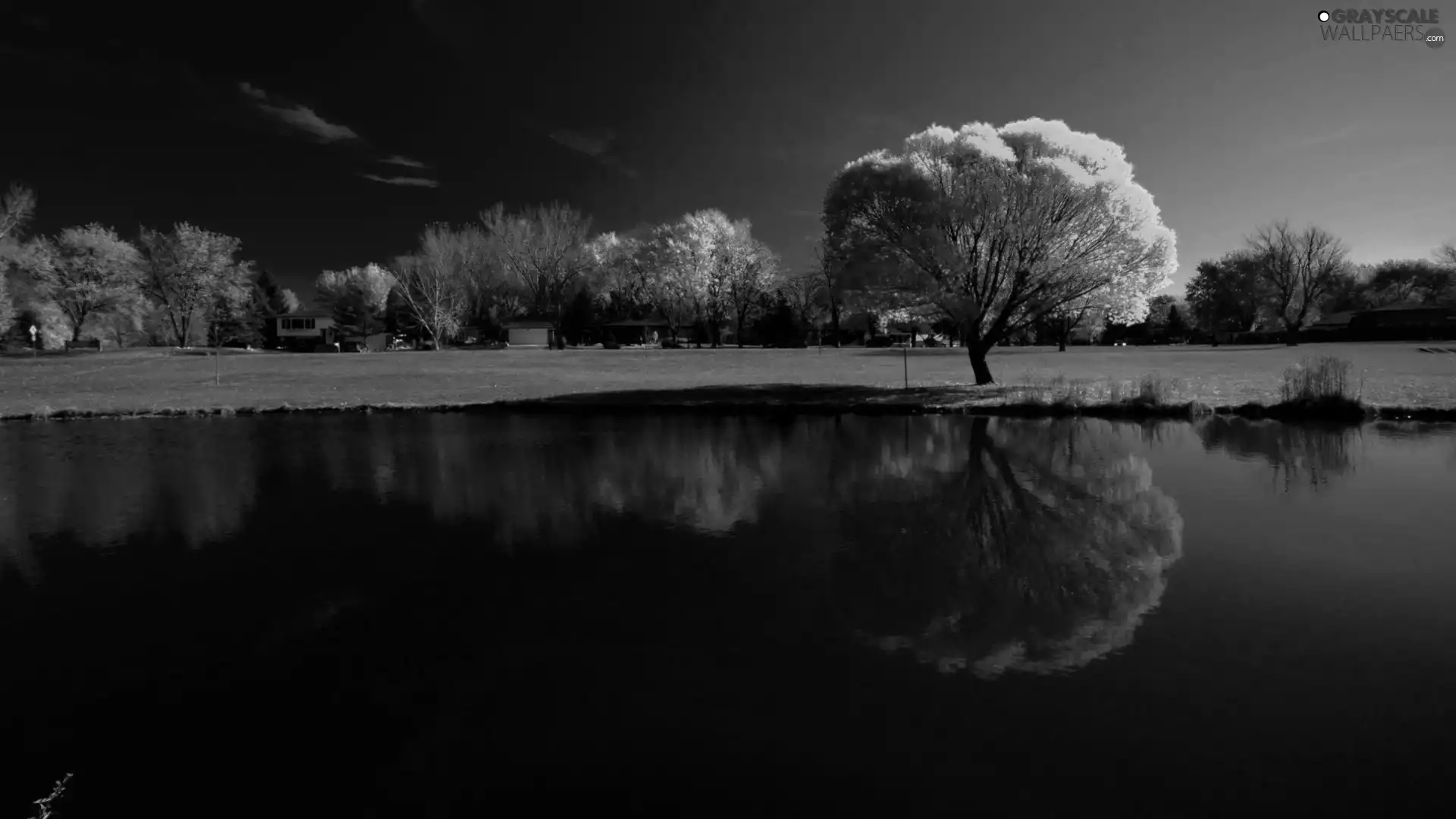 lake, reflection