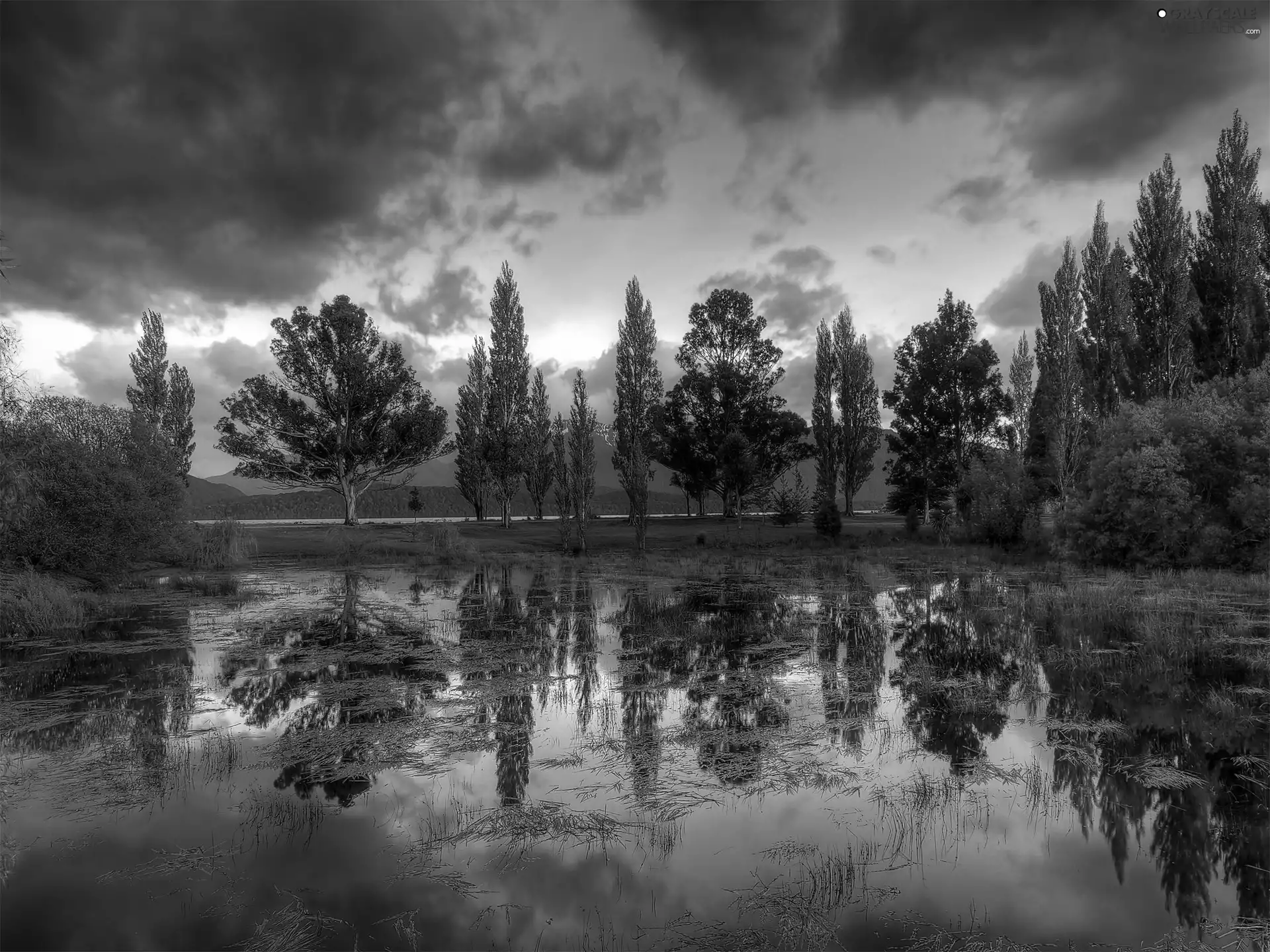 lakes, viewes, reflection, trees