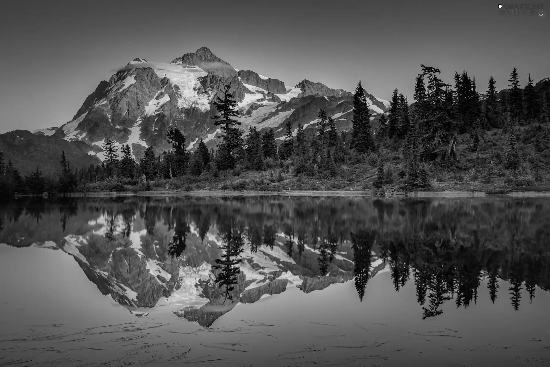 Mountains, forest, reflection, lake