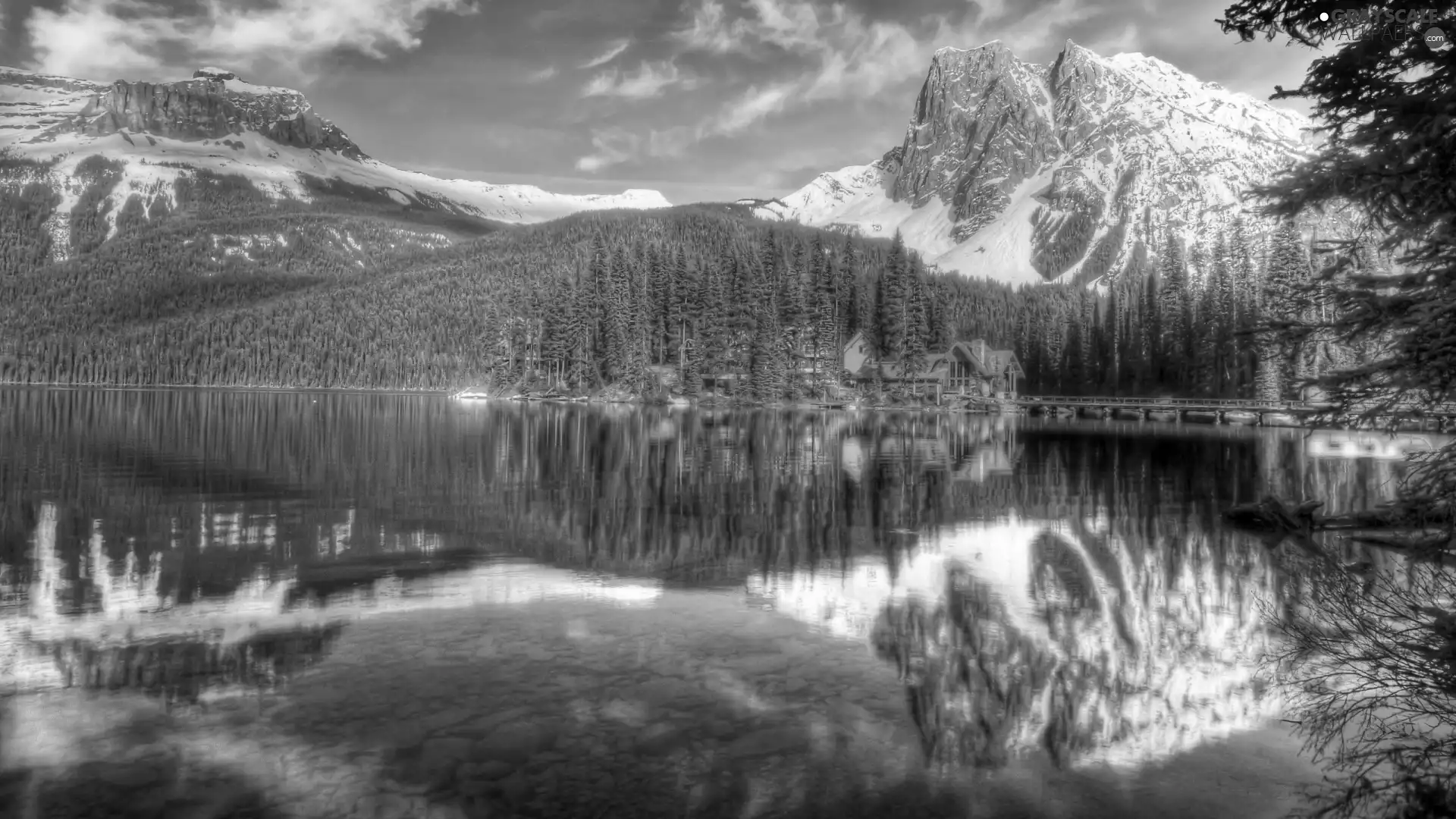 Mountains, forest, reflection, lake