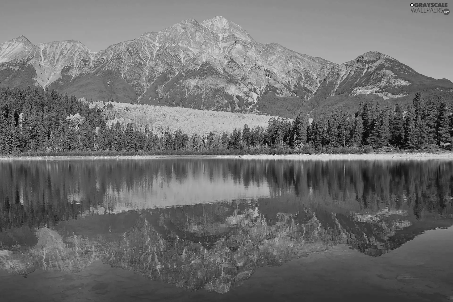 Mountains, woods, reflection, lake