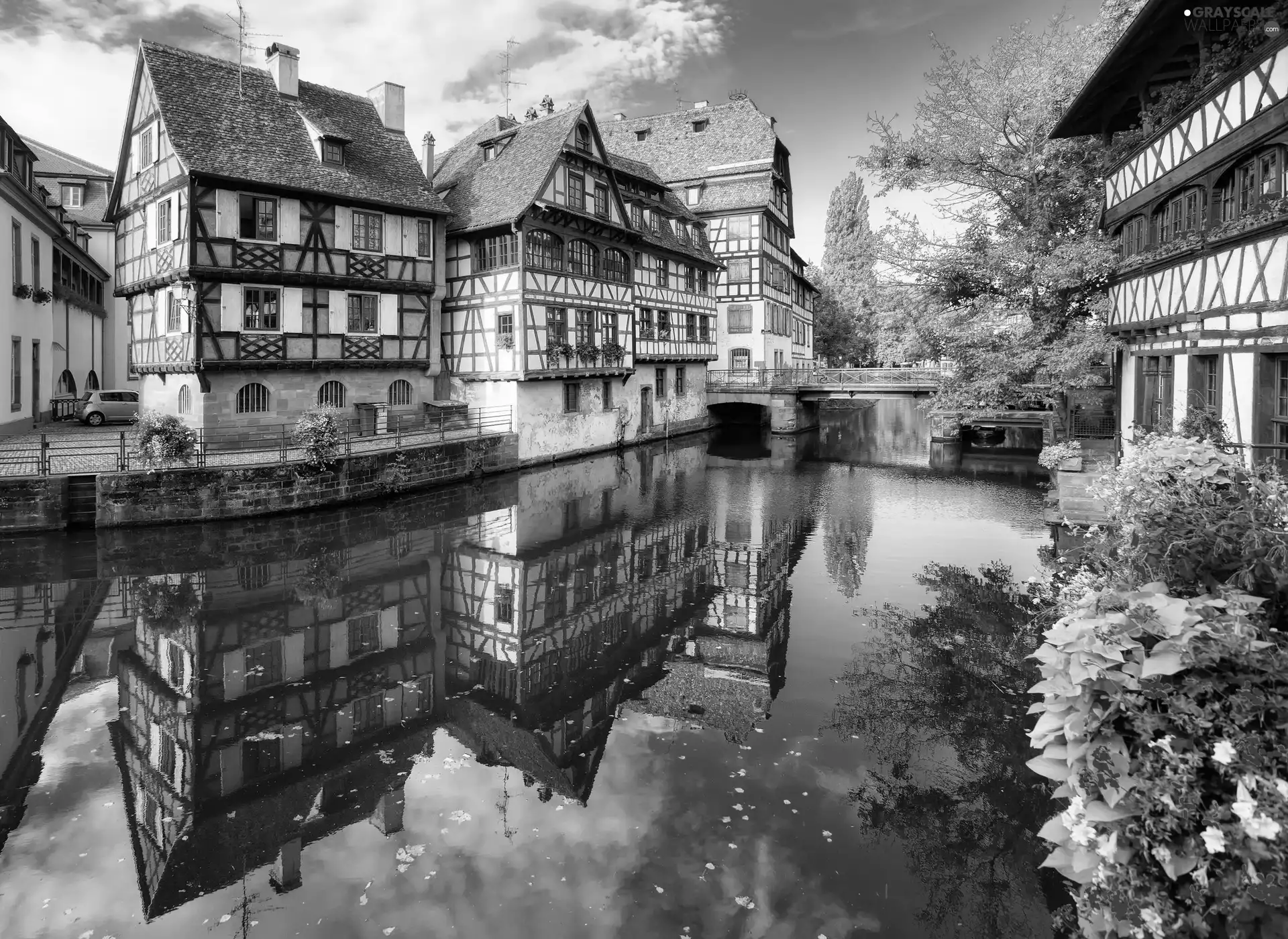 River, Houses, reflection, bridge