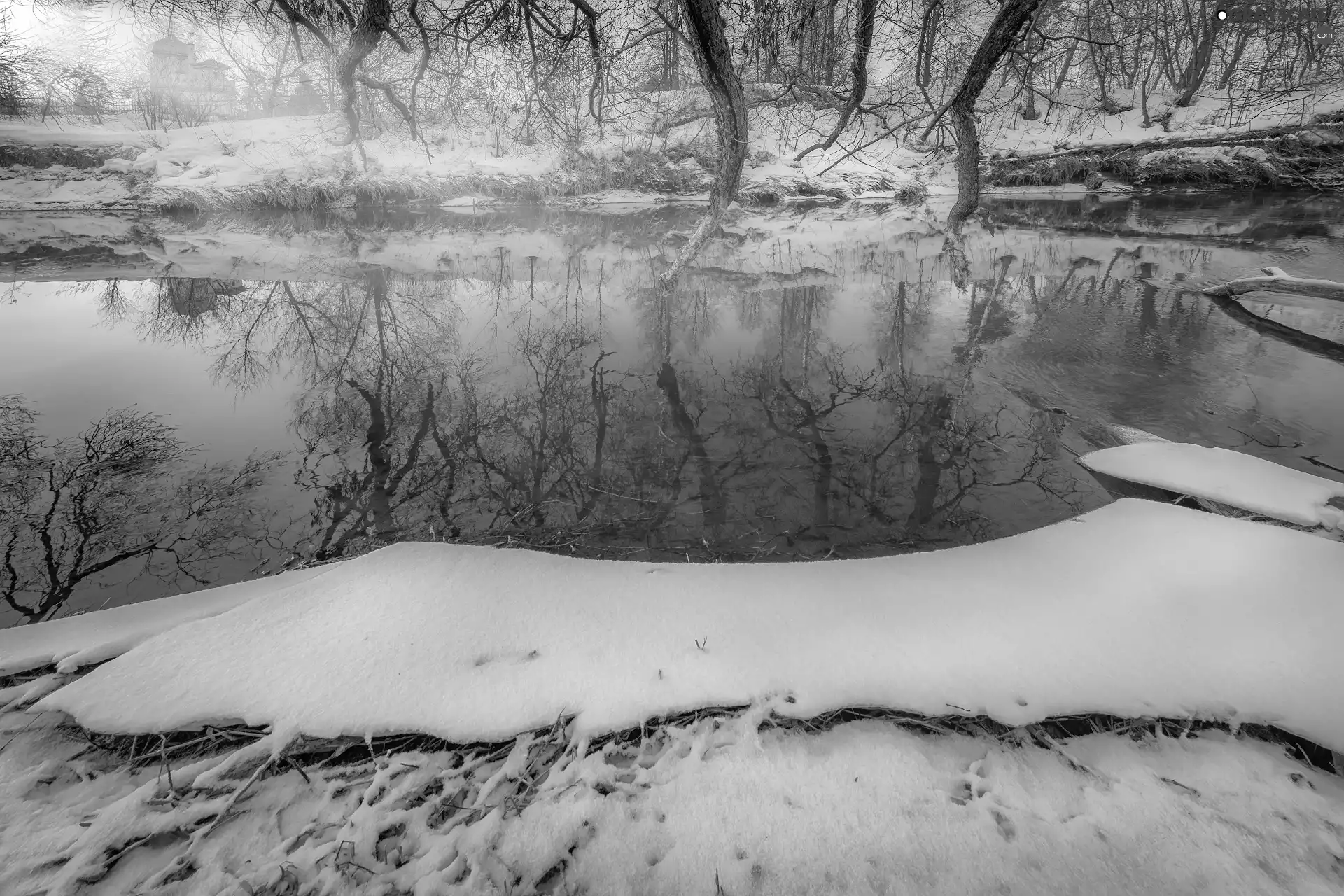 Stems, winter, viewes, reflection, trees, River