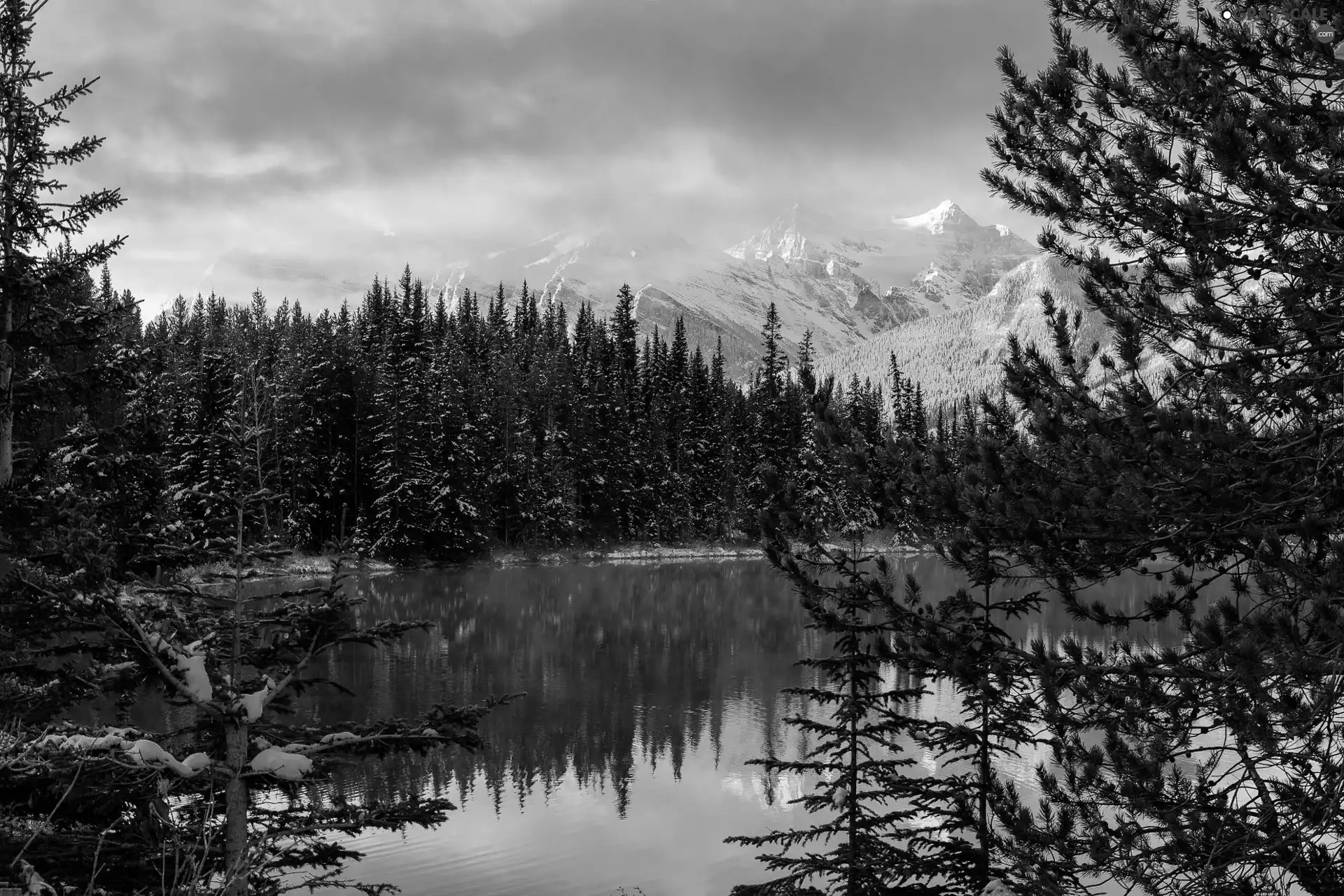 reflection, snow, trees, morning, viewes, Mountains, lake, winter, Sky, forest