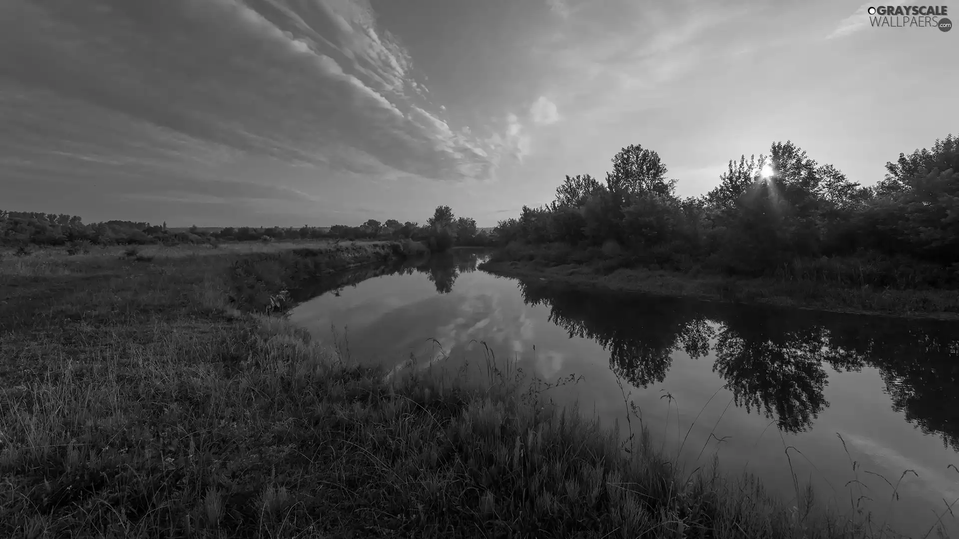 viewes, River, clouds, reflection, grass, trees