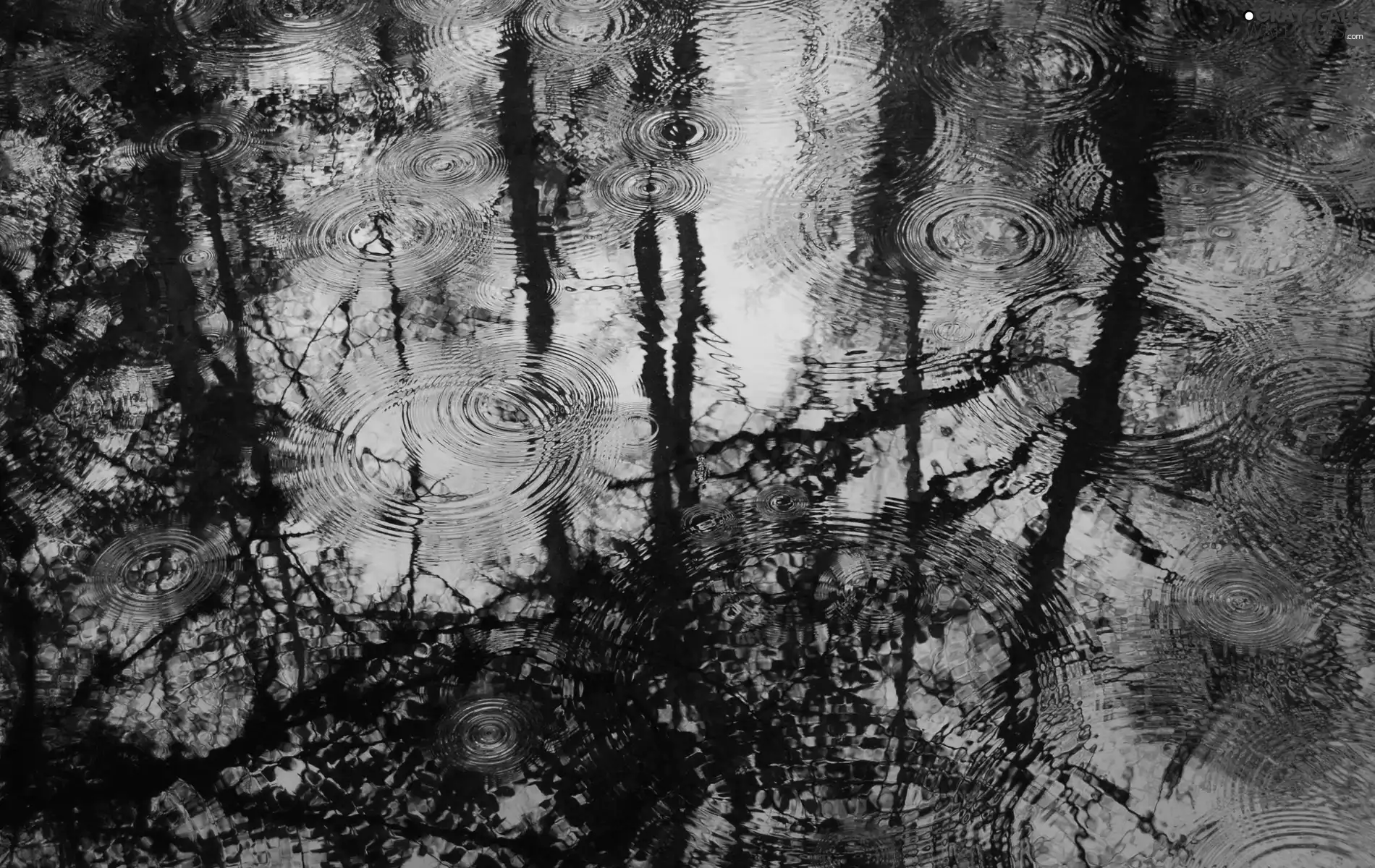 reflection, Rain, water