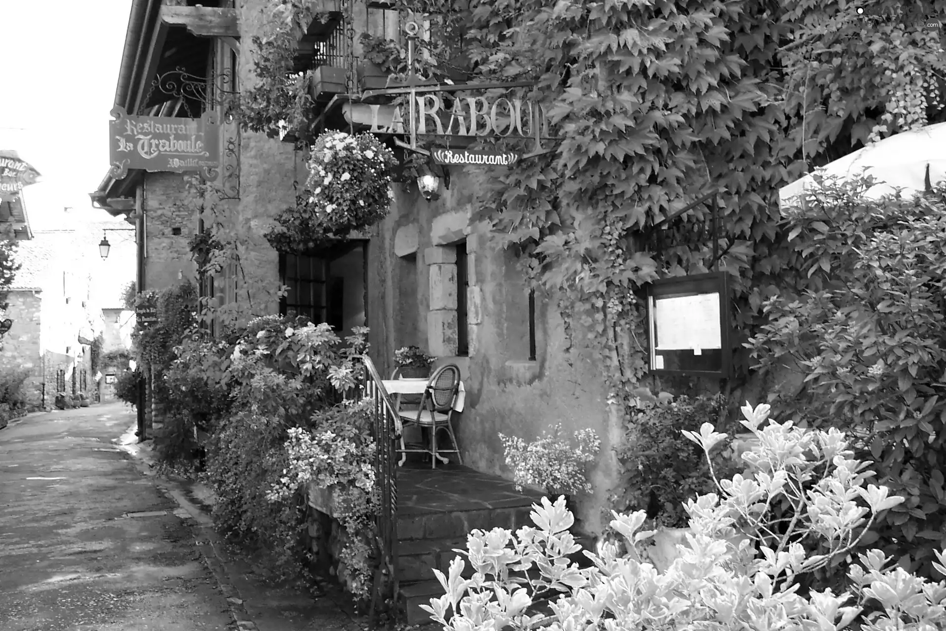 Street, Restaurant