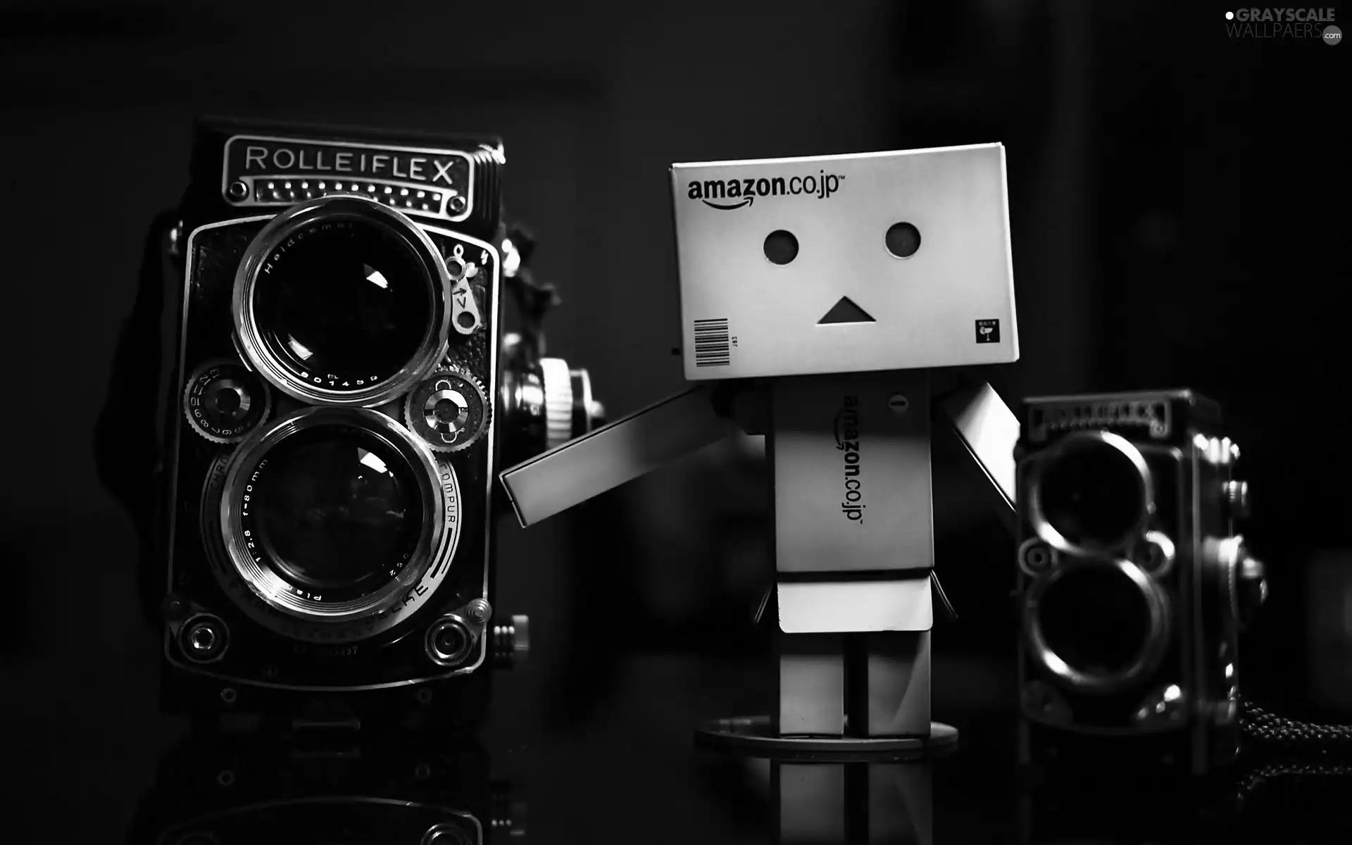 photographic, Danbo, Retro, blur, Rolleiflex, Cameras