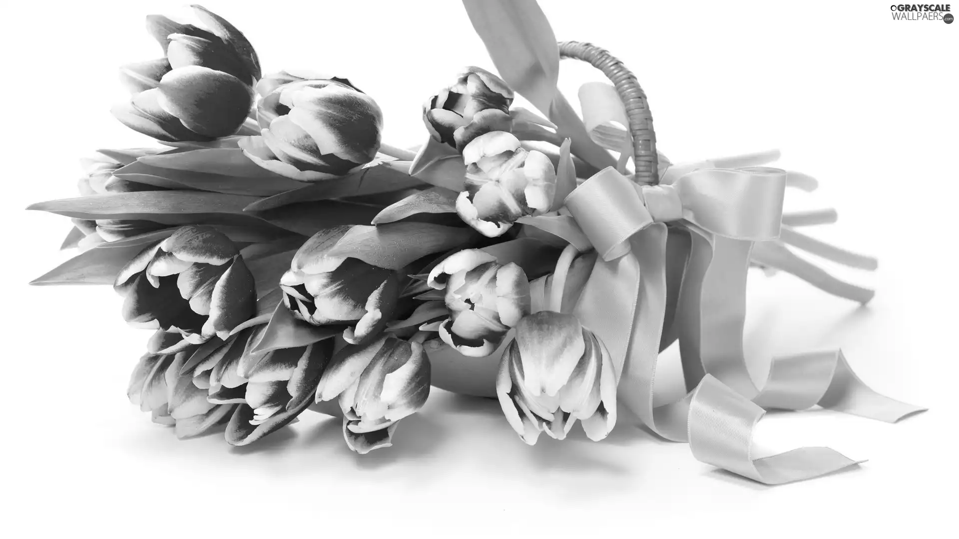 bouquet, basket, ribbon, tulips