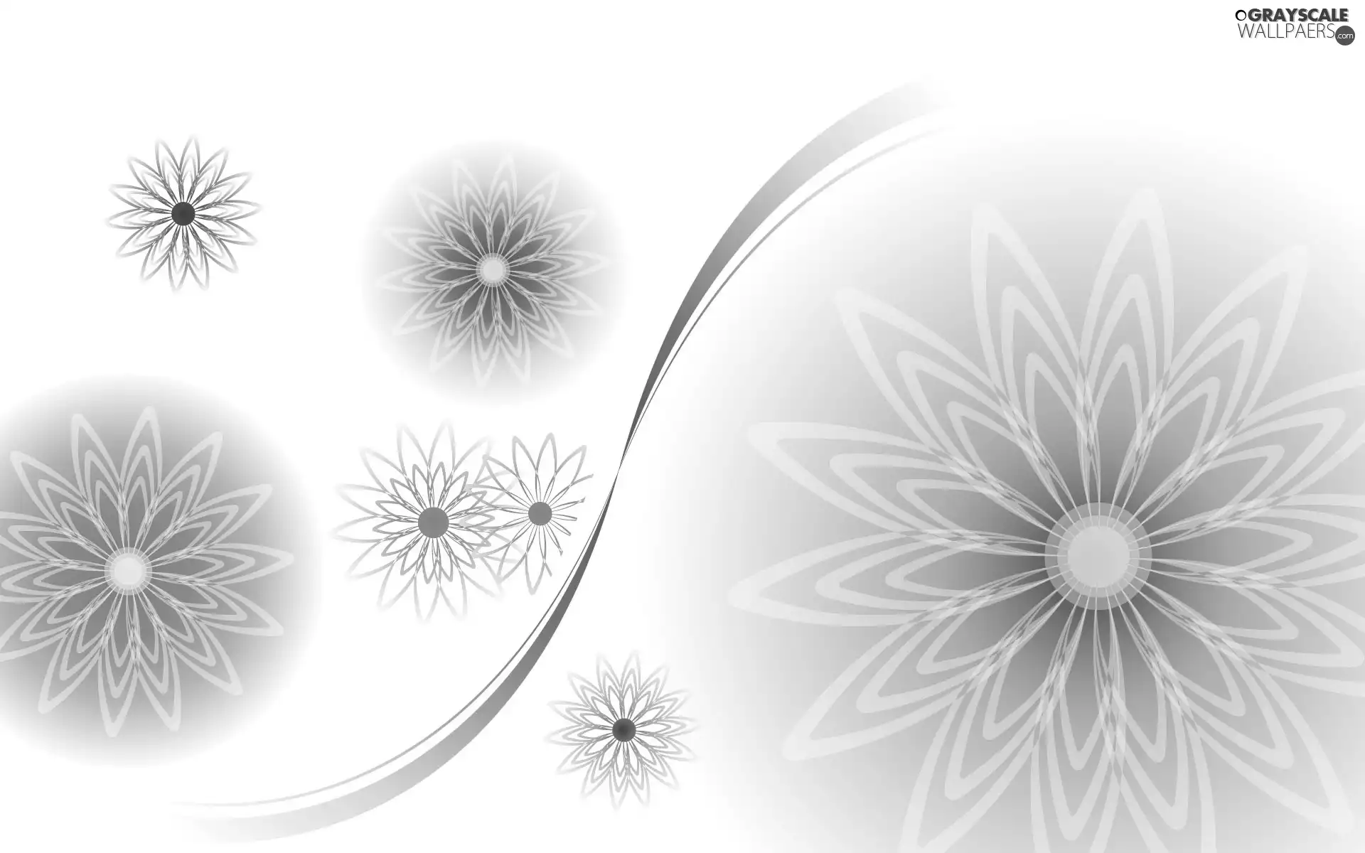 ribbon, texture, Flowers
