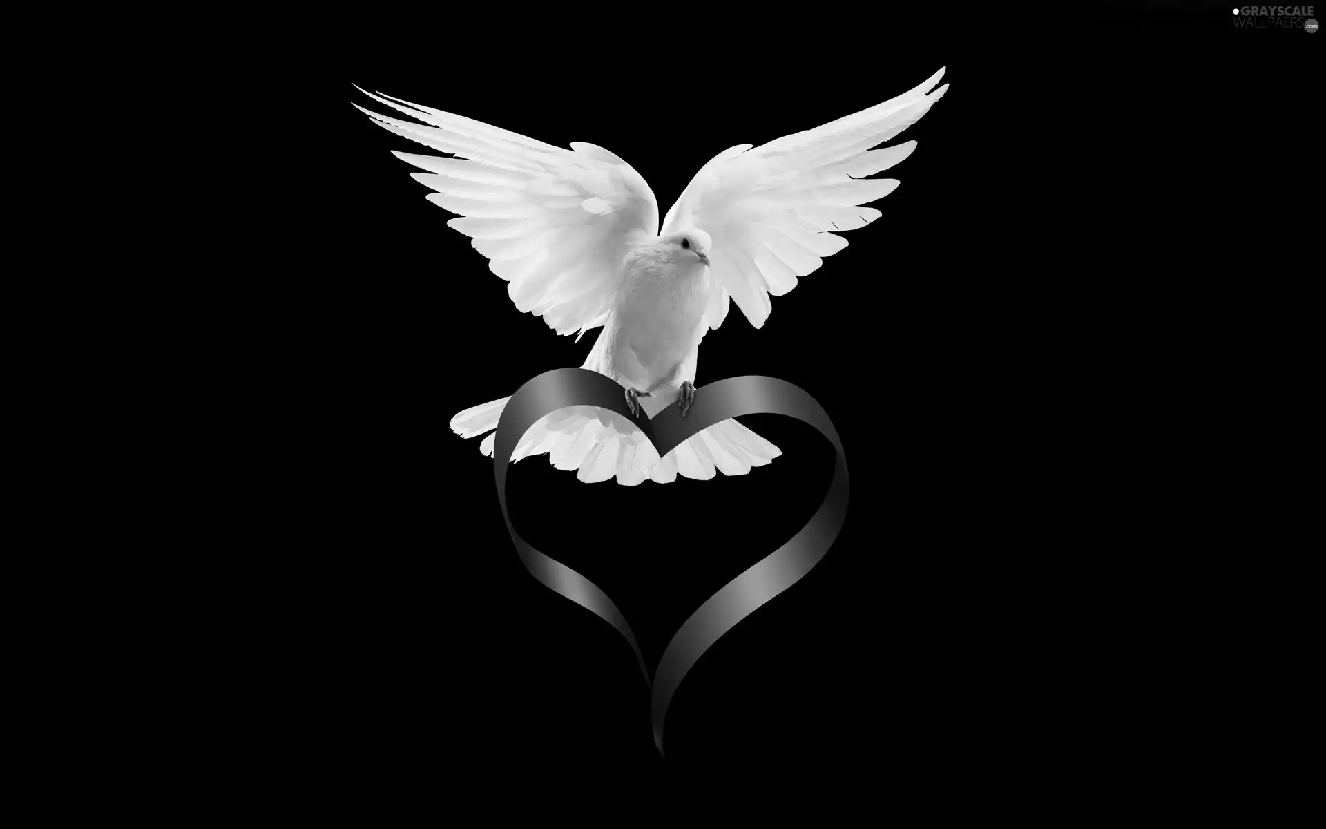 ribbon, dove, Heart