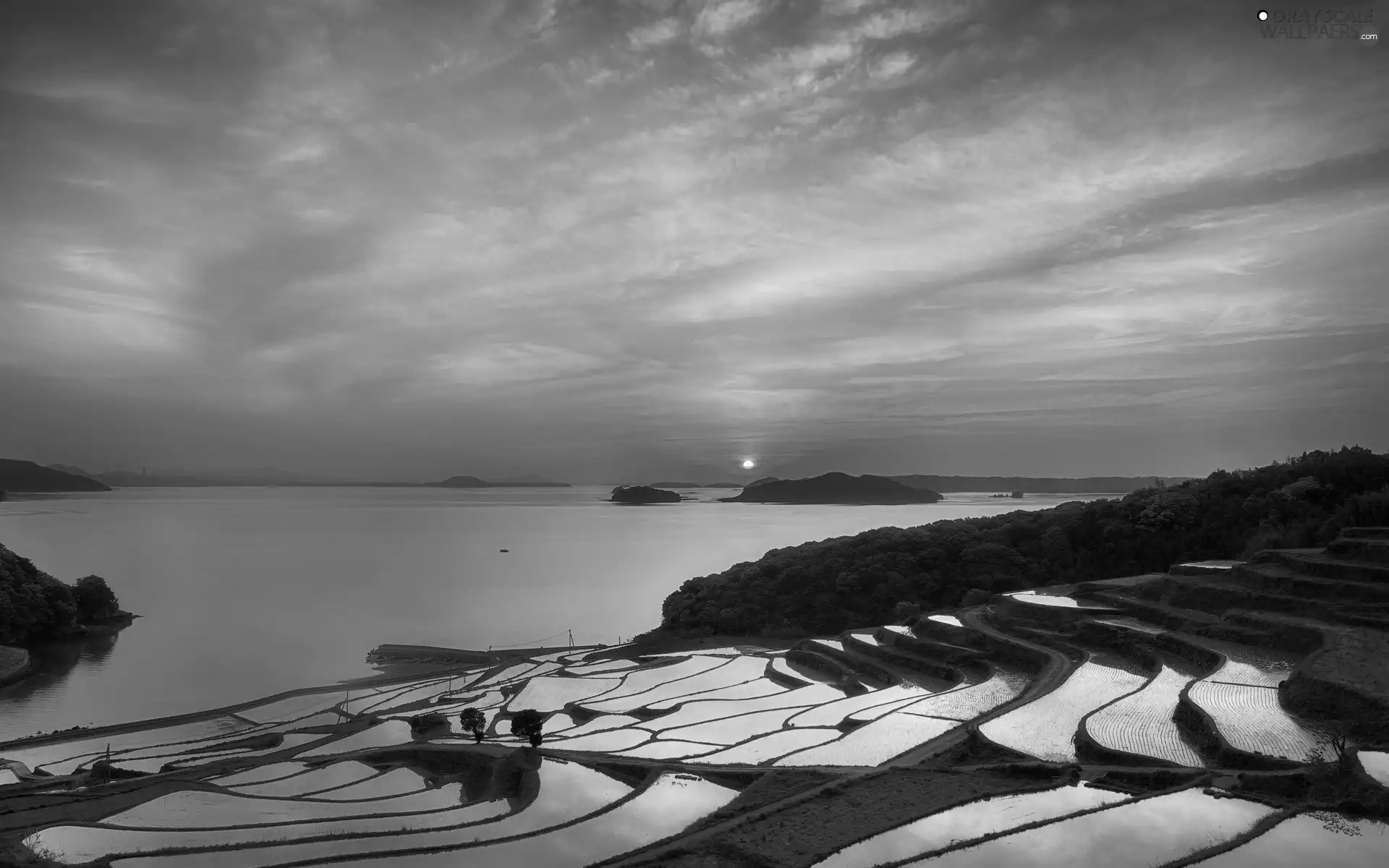 field, Islands, west, Terraces, lake, rice, sun