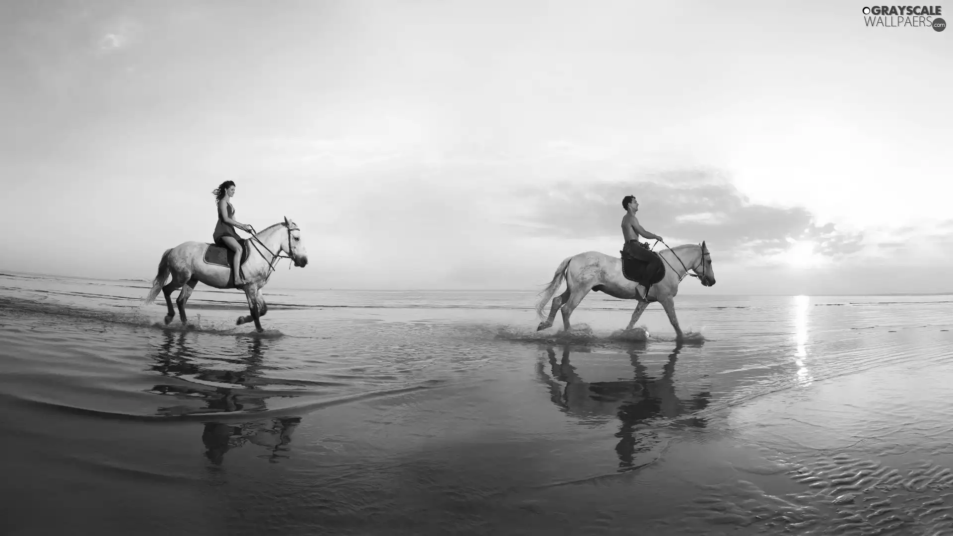 bloodstock, coast, riders, sea