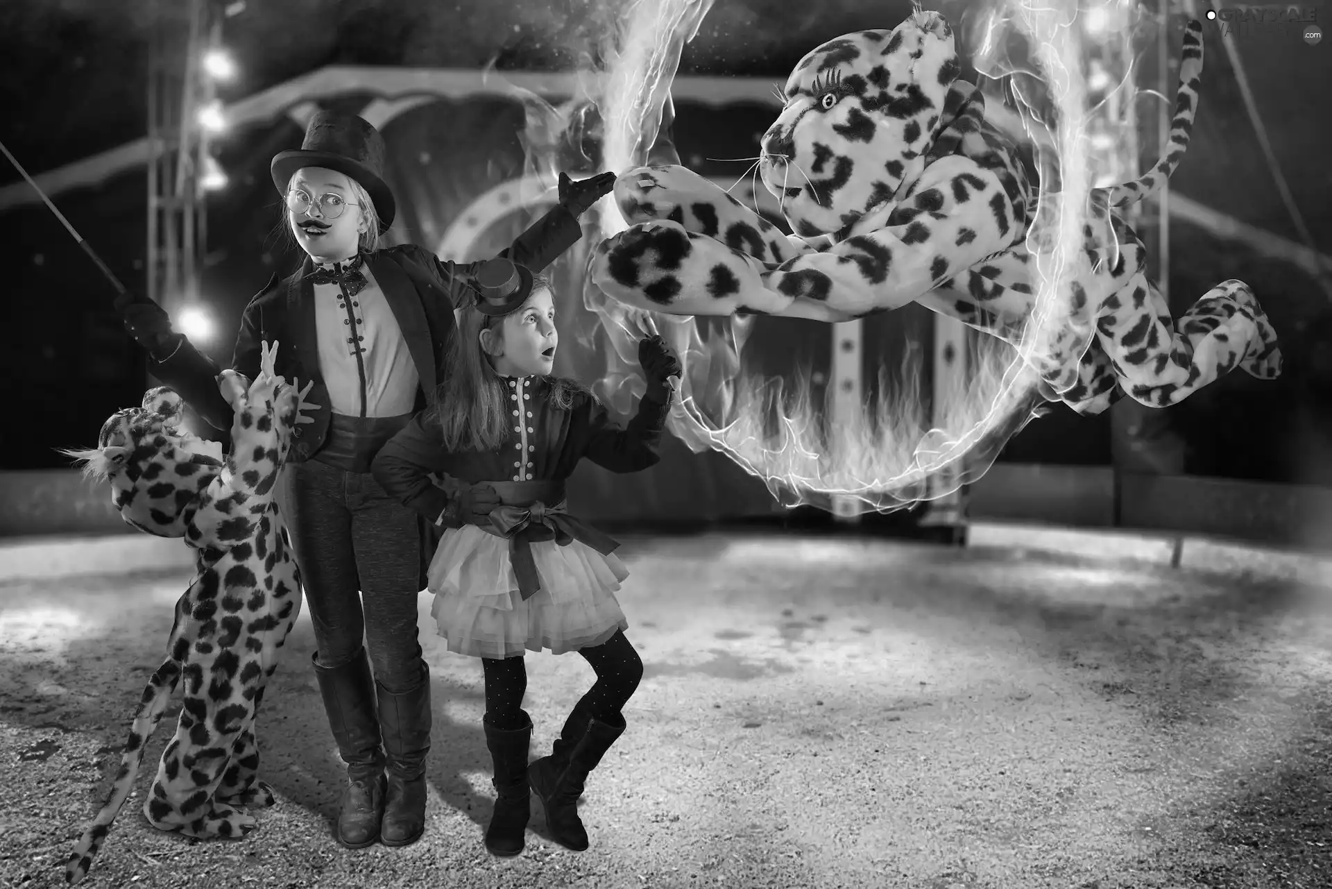 arena, Kids, Burning, rim, tiger, circus