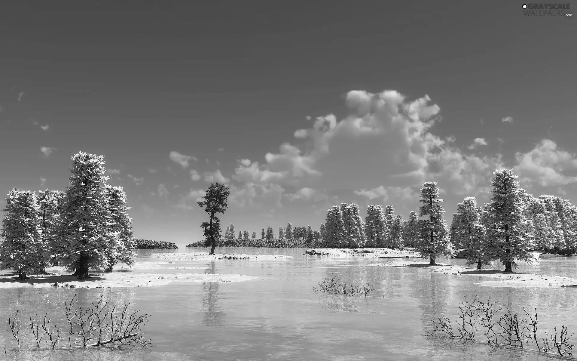 lake, viewes, rime, trees