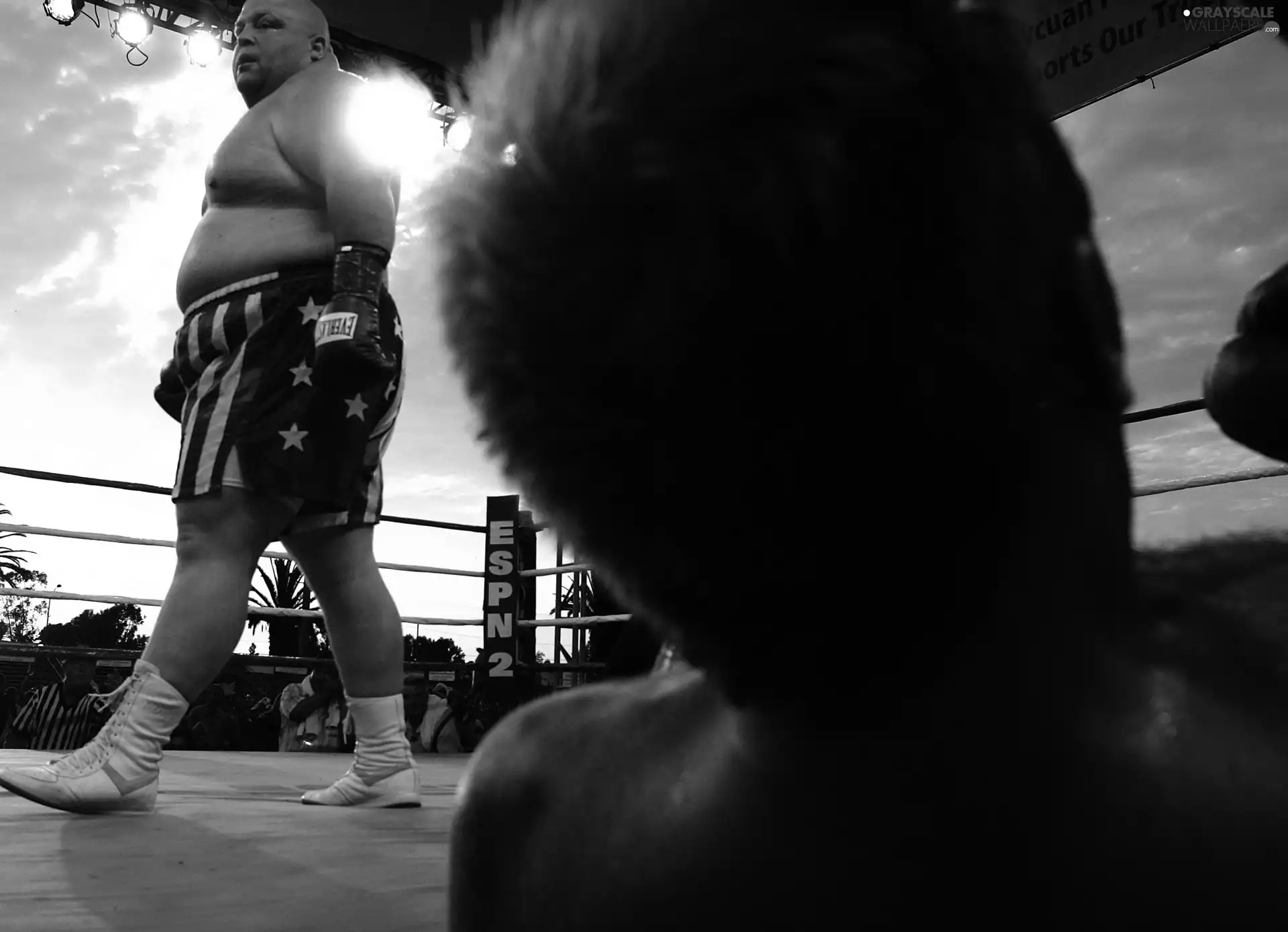 boxer, Eric Esch "Butterbean", Ring