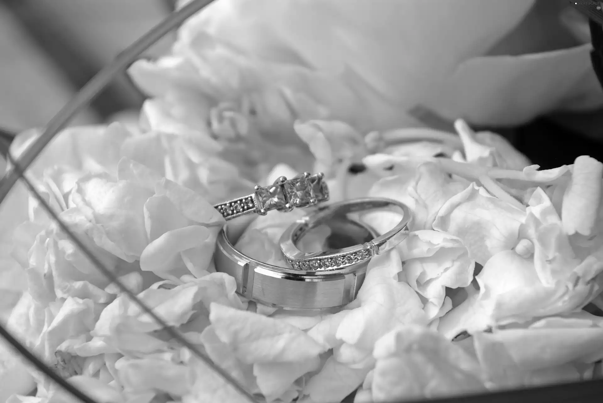 rings, flakes, rouge