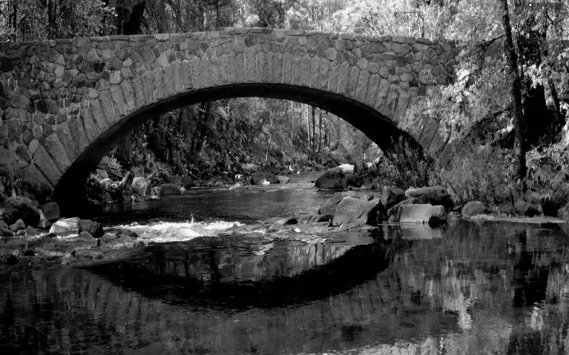 River, bridge, autumn