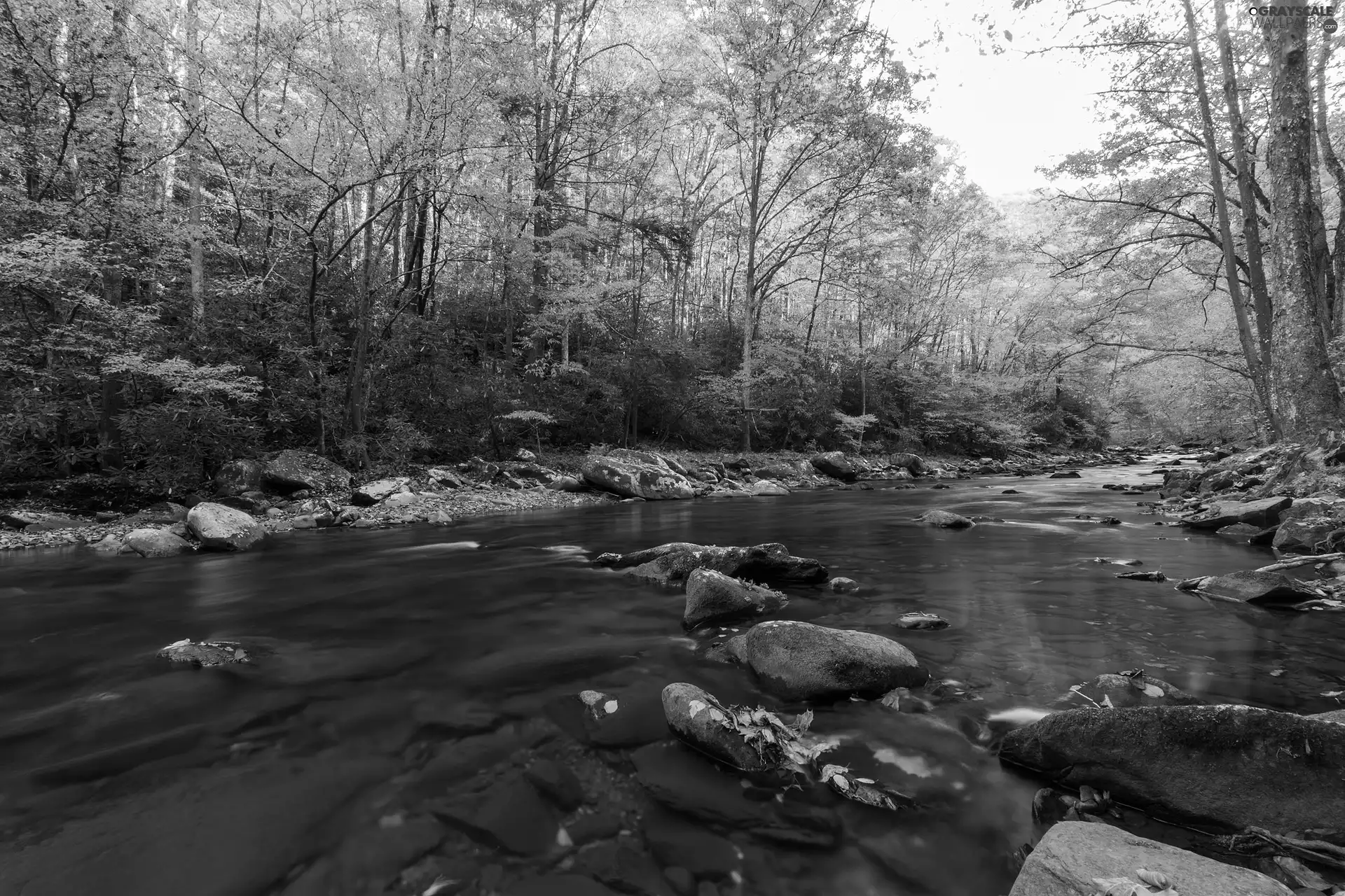 autumn, Stones, River, forest