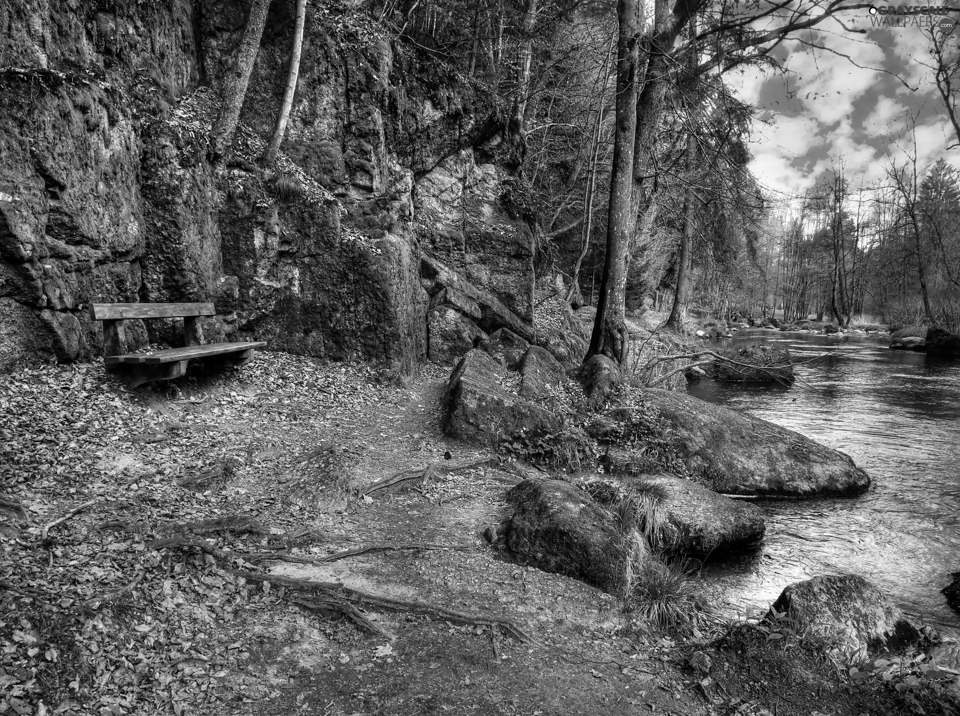 River, Bench, rocks, forest, clouds