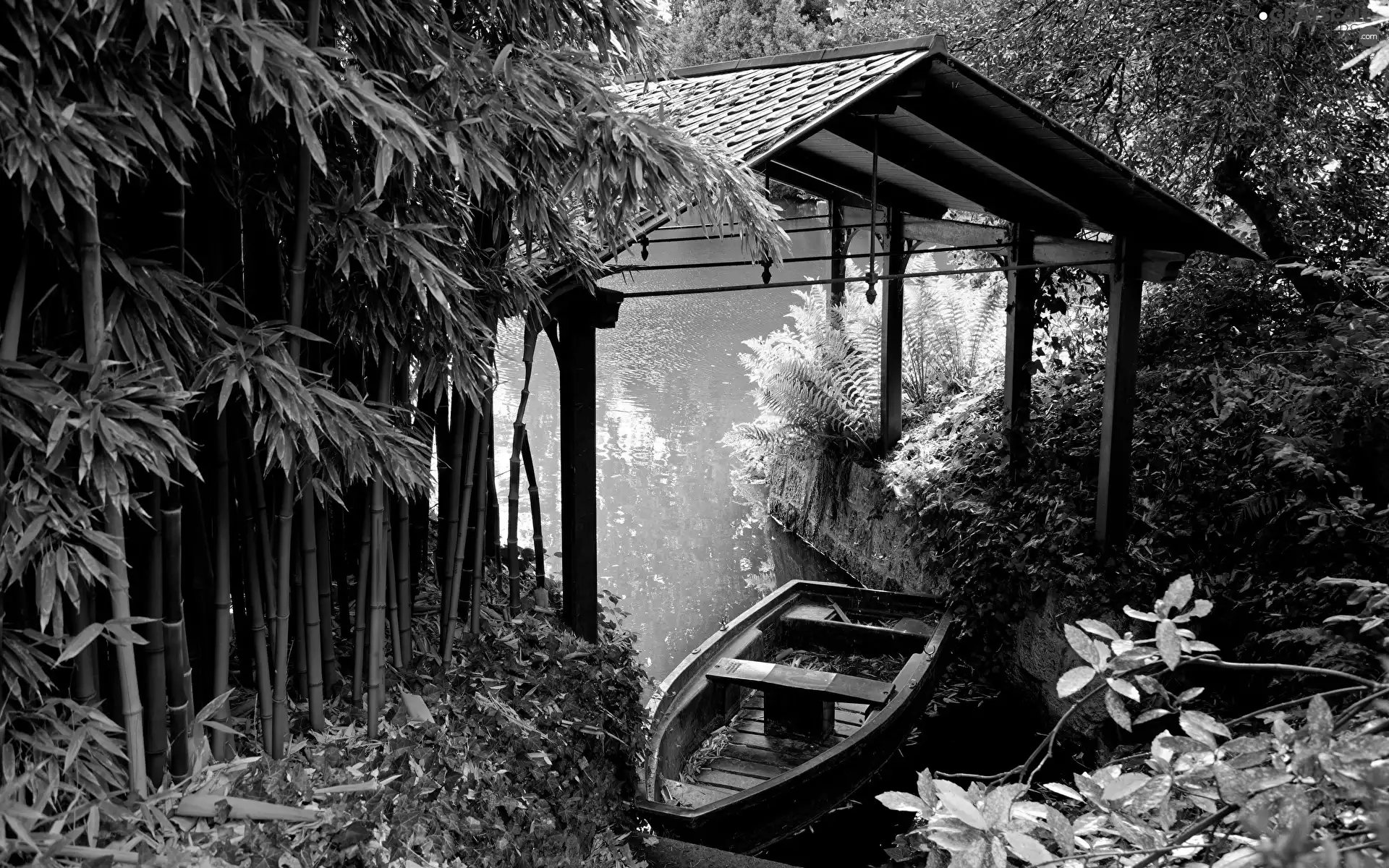 Boat, bamboos, roofing, River