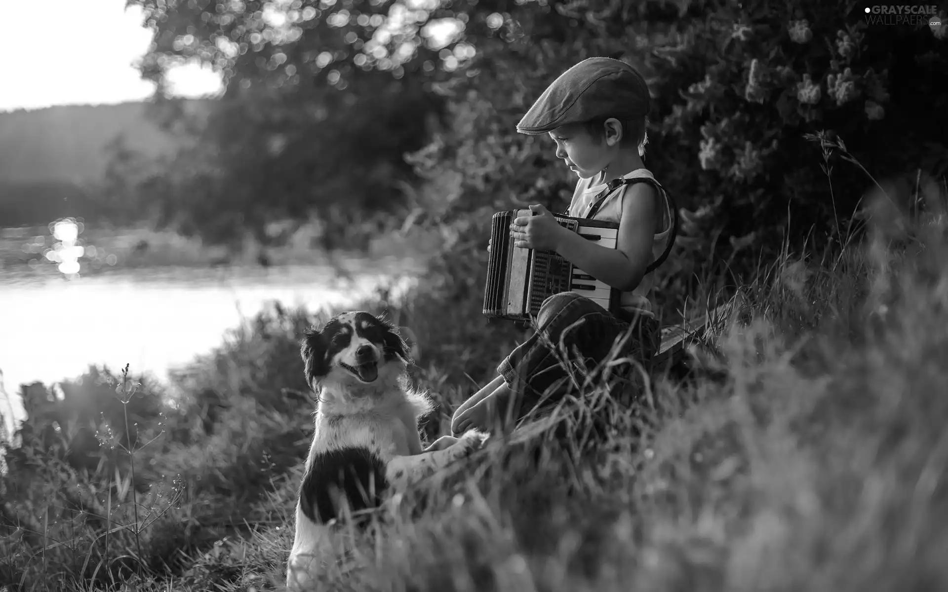 boy, dog, River, accordion