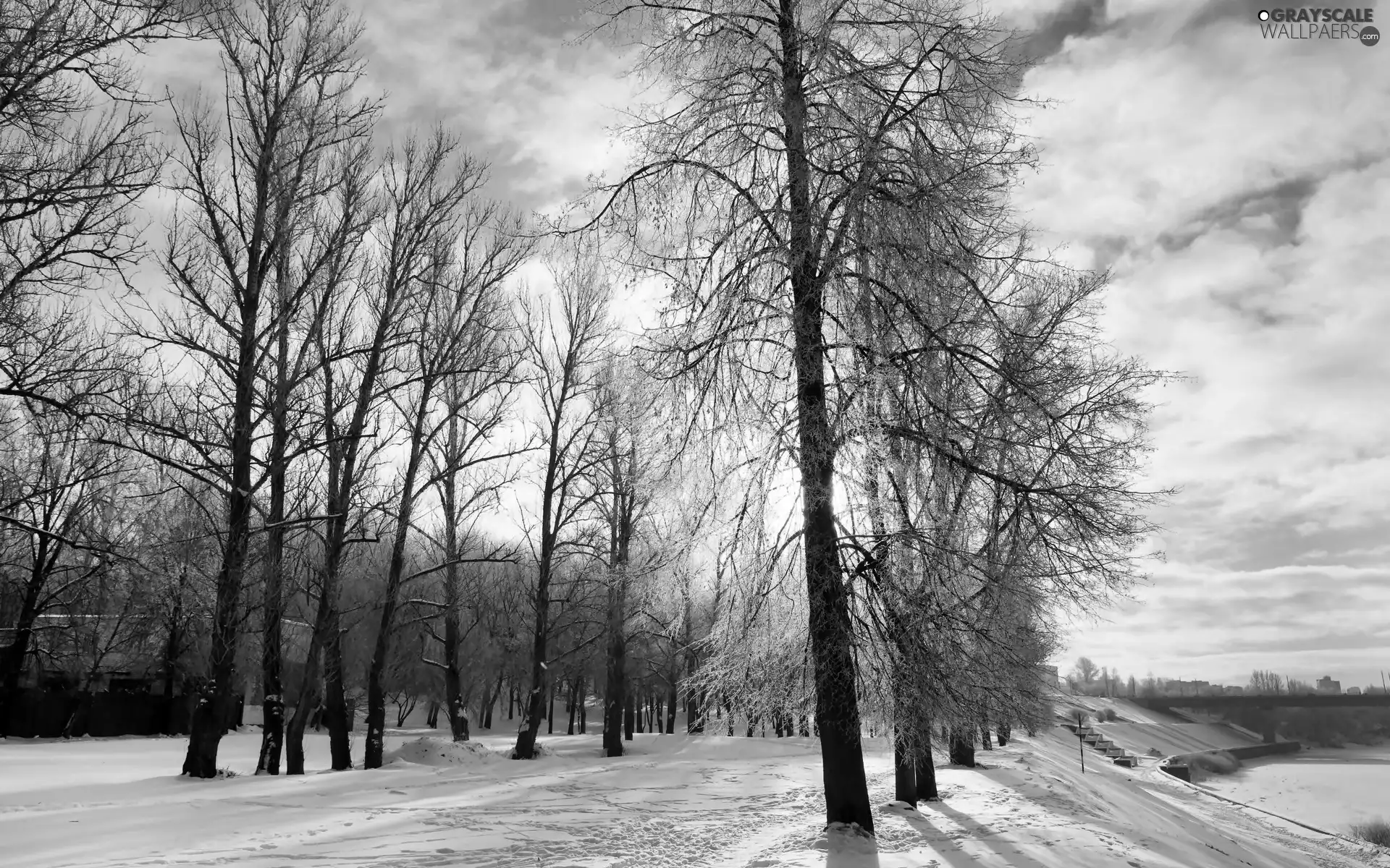 east, Park, River, sun