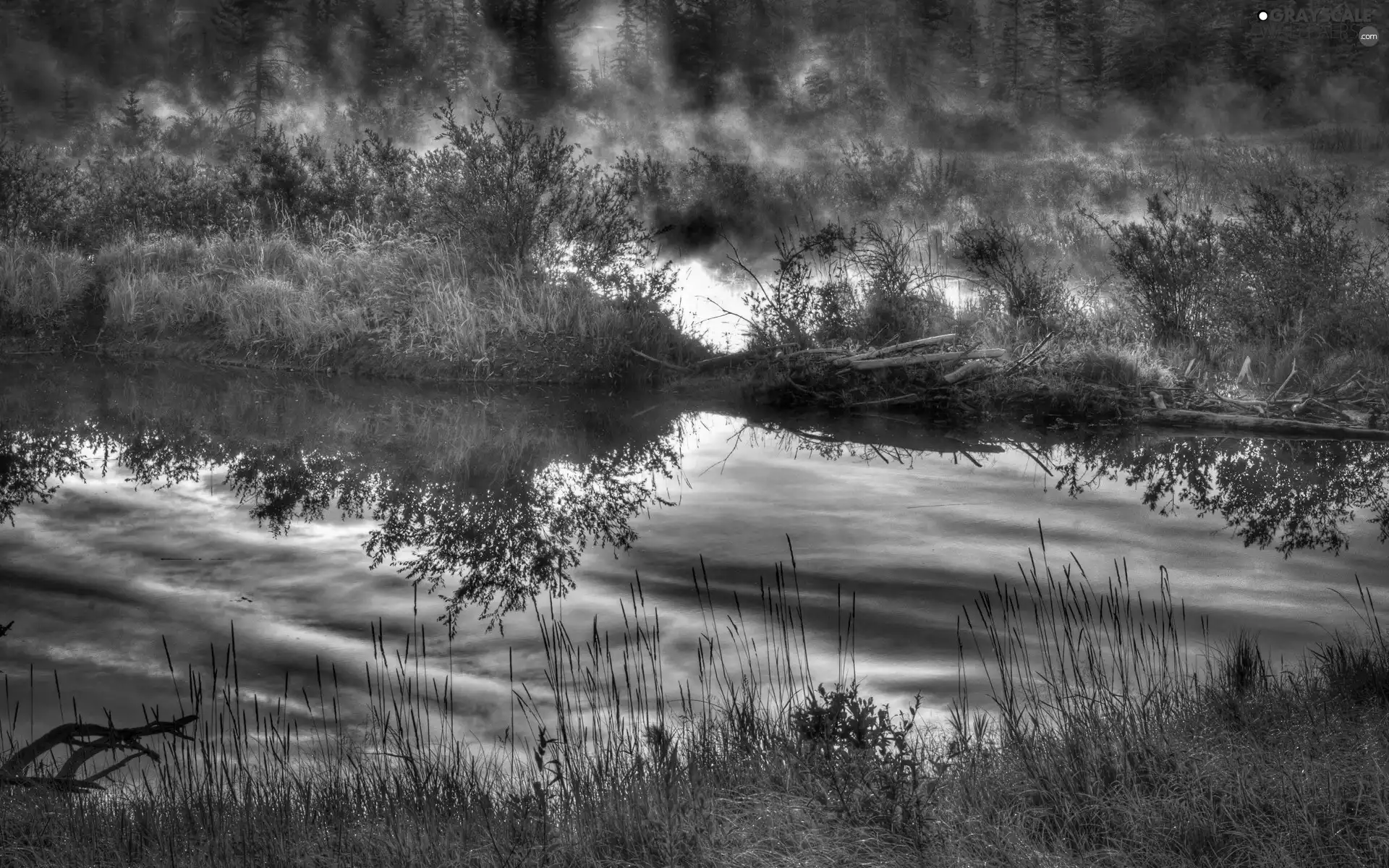 Big Fire, forest, River