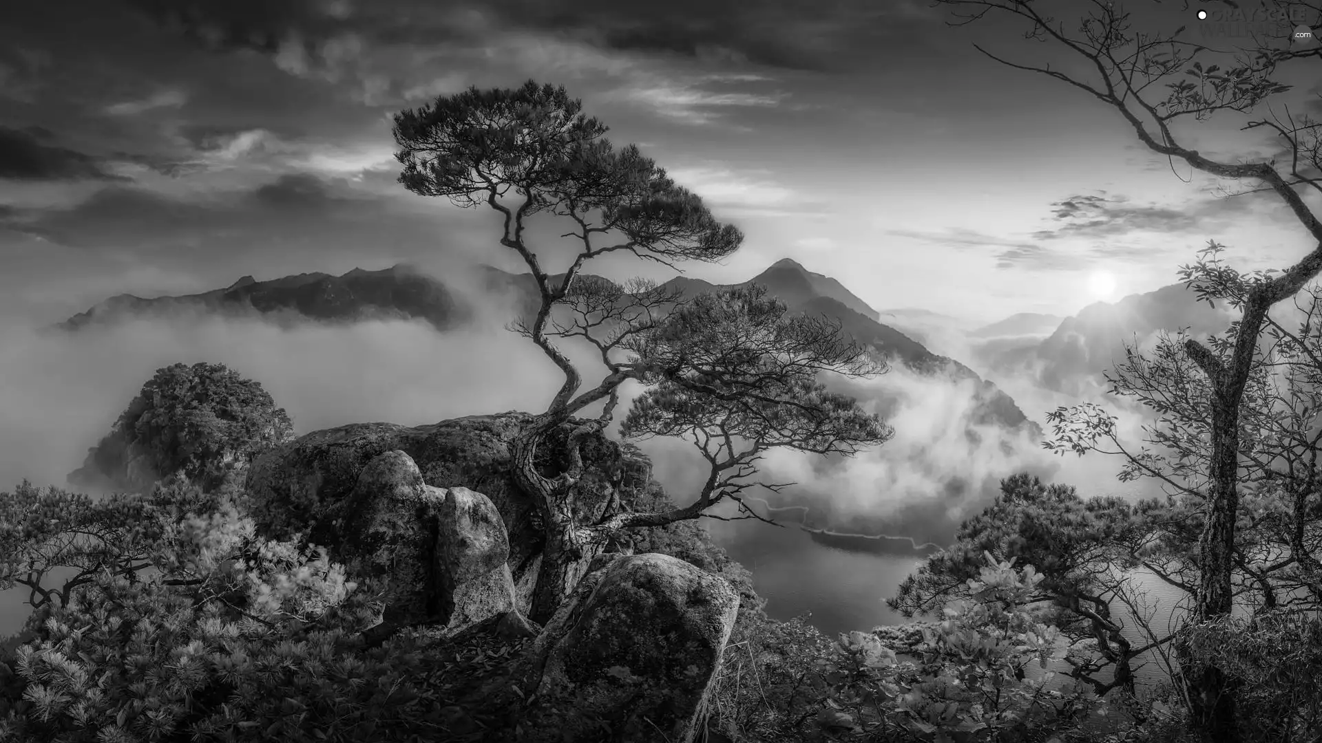 viewes, pine, Fog, rocks, Sunrise, trees, Mountains, River