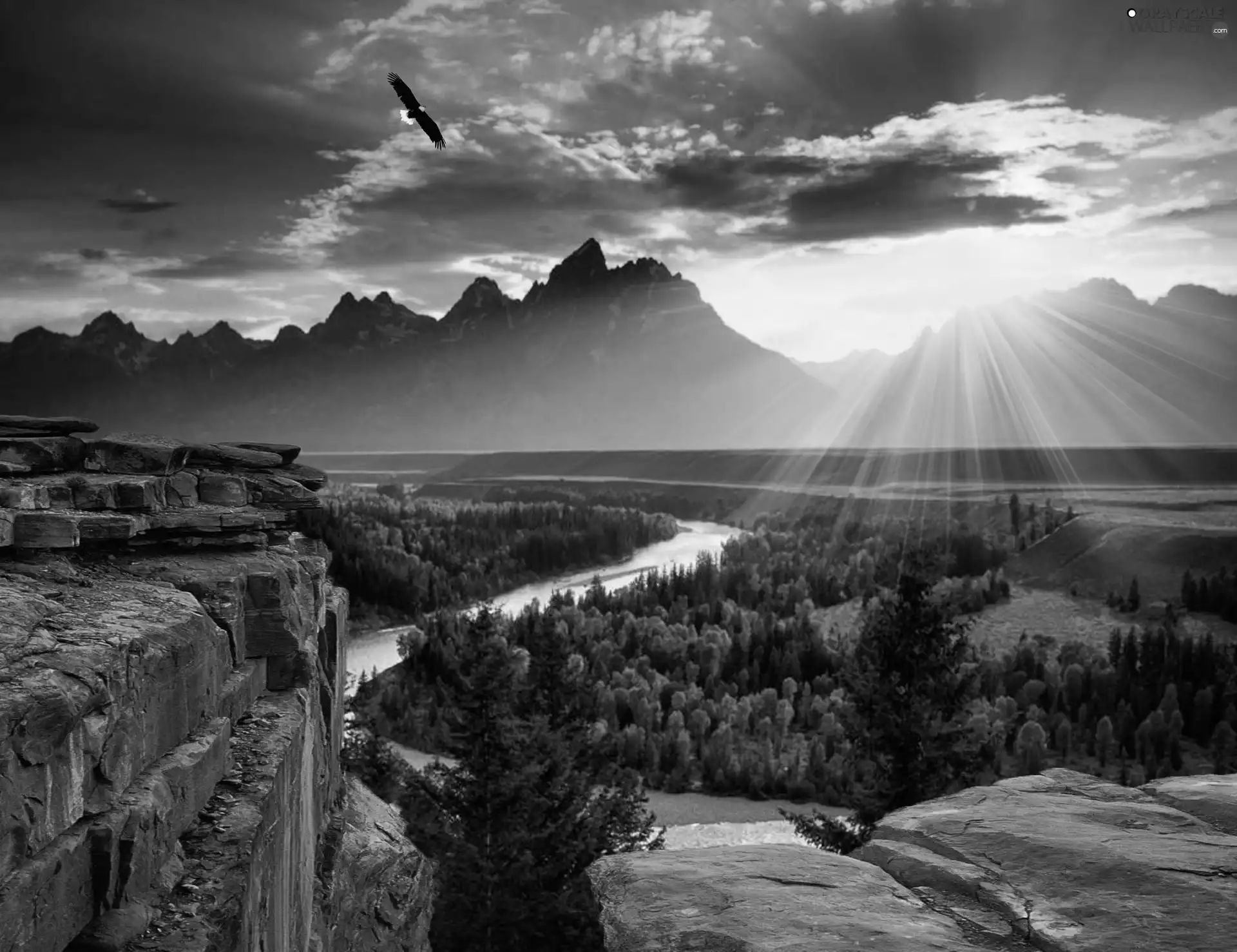 rays, west, River, forest, rocks, sun