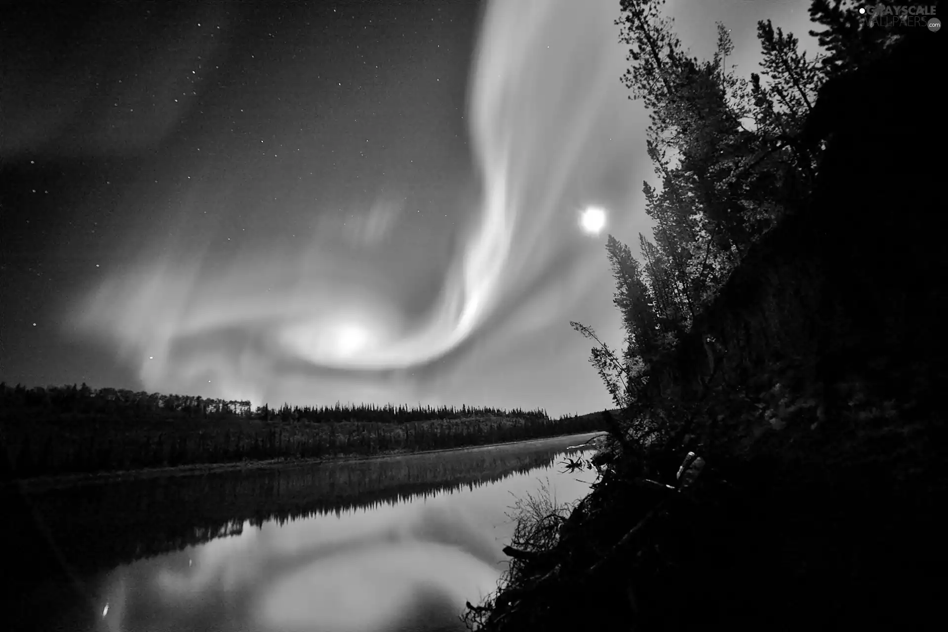 rays, dawn, River, forest, sun, Polaris