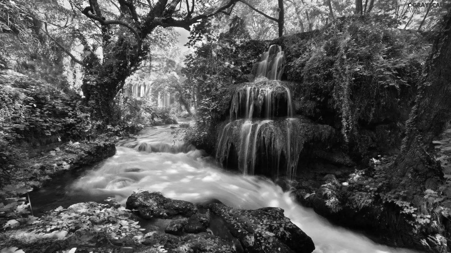 River, waterfall, forest