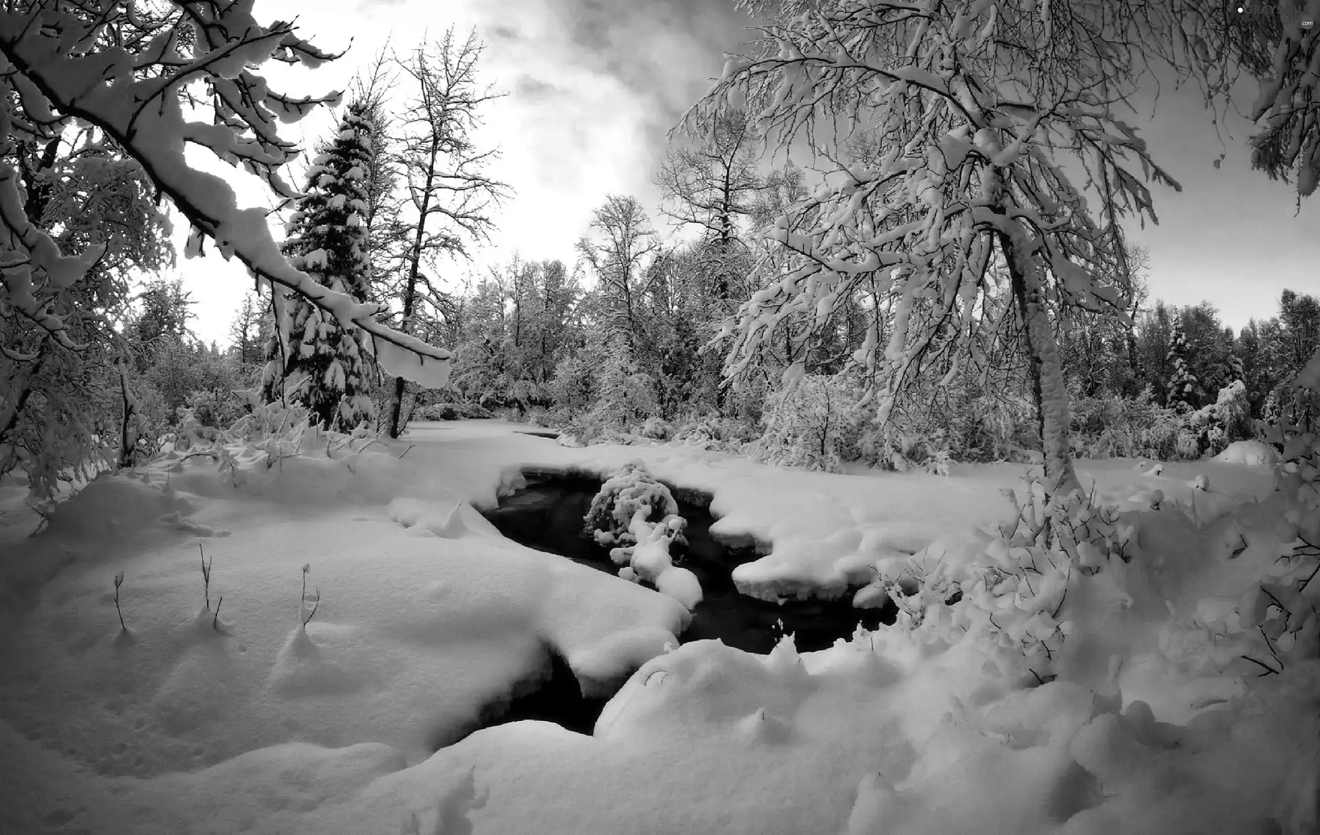 River, winter, forest